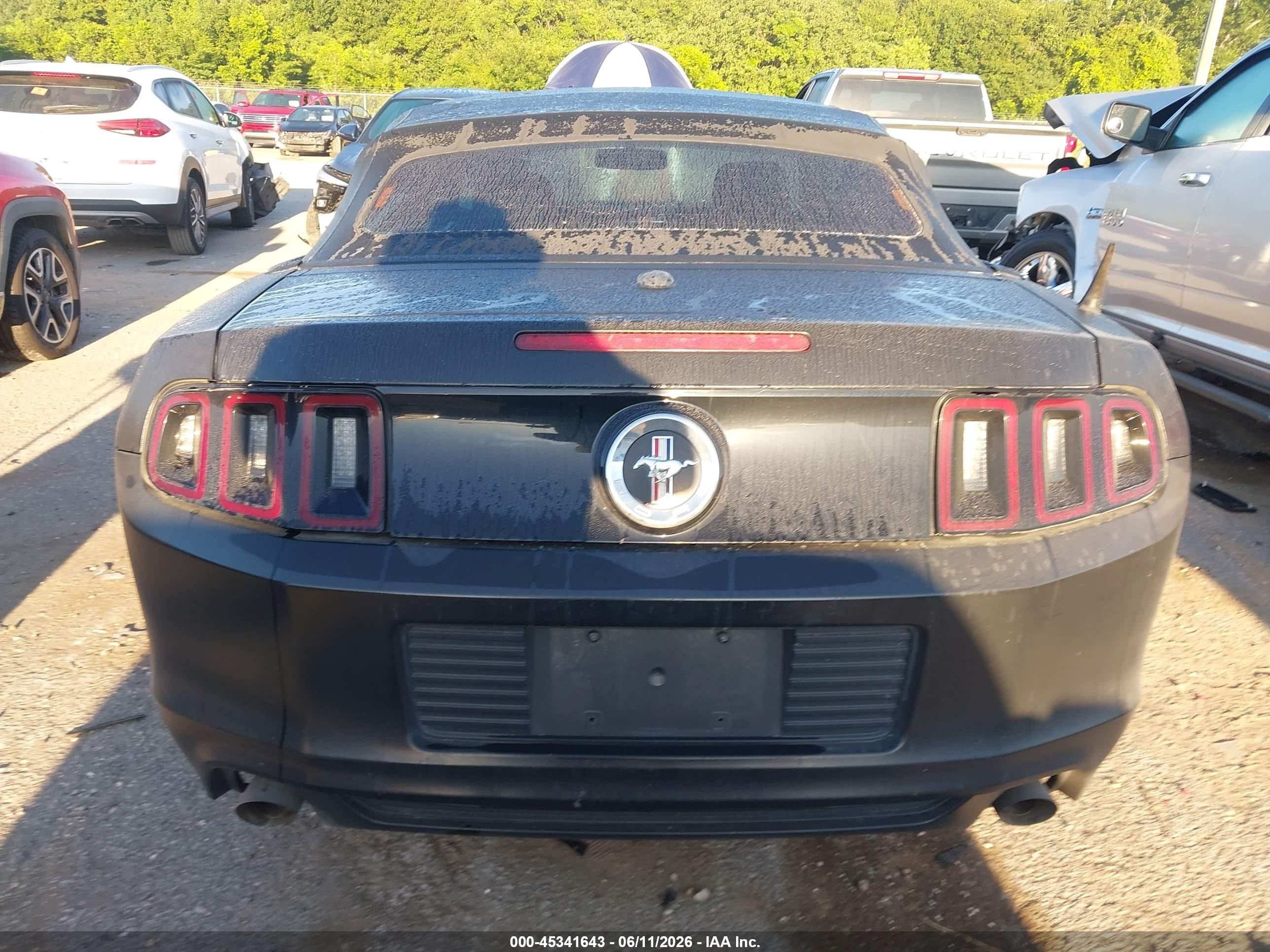 2014 Ford Mustang V6 Premium Black vin: 1ZVBP8EM5E5300221