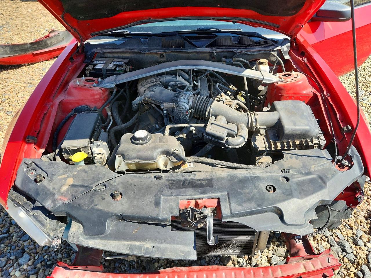 2012 Ford Mustang Красный vin: 1ZVBP8EM6C5212517