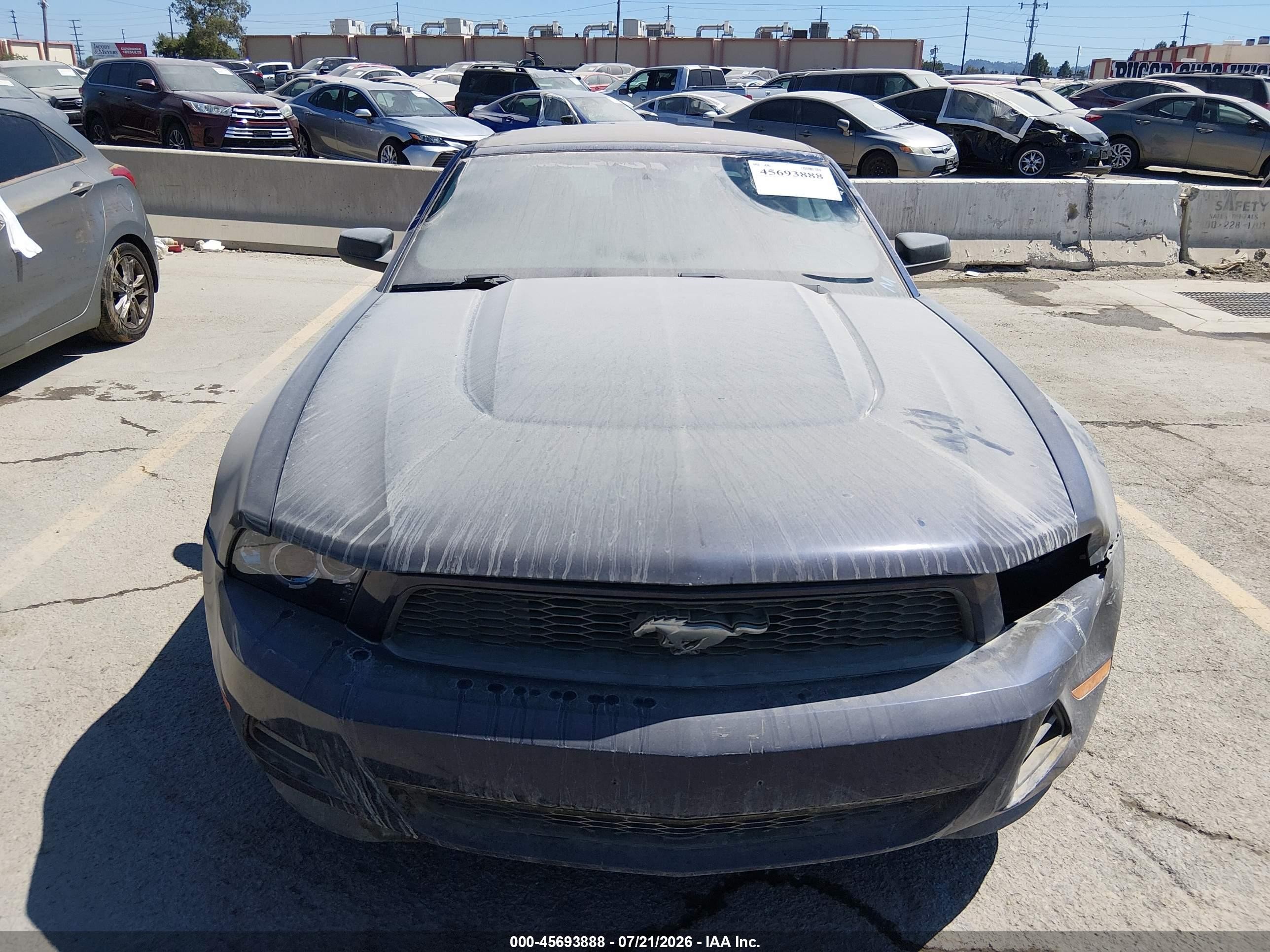2012 Ford Mustang V6 Premium Blue vin: 1ZVBP8EM6C5230483