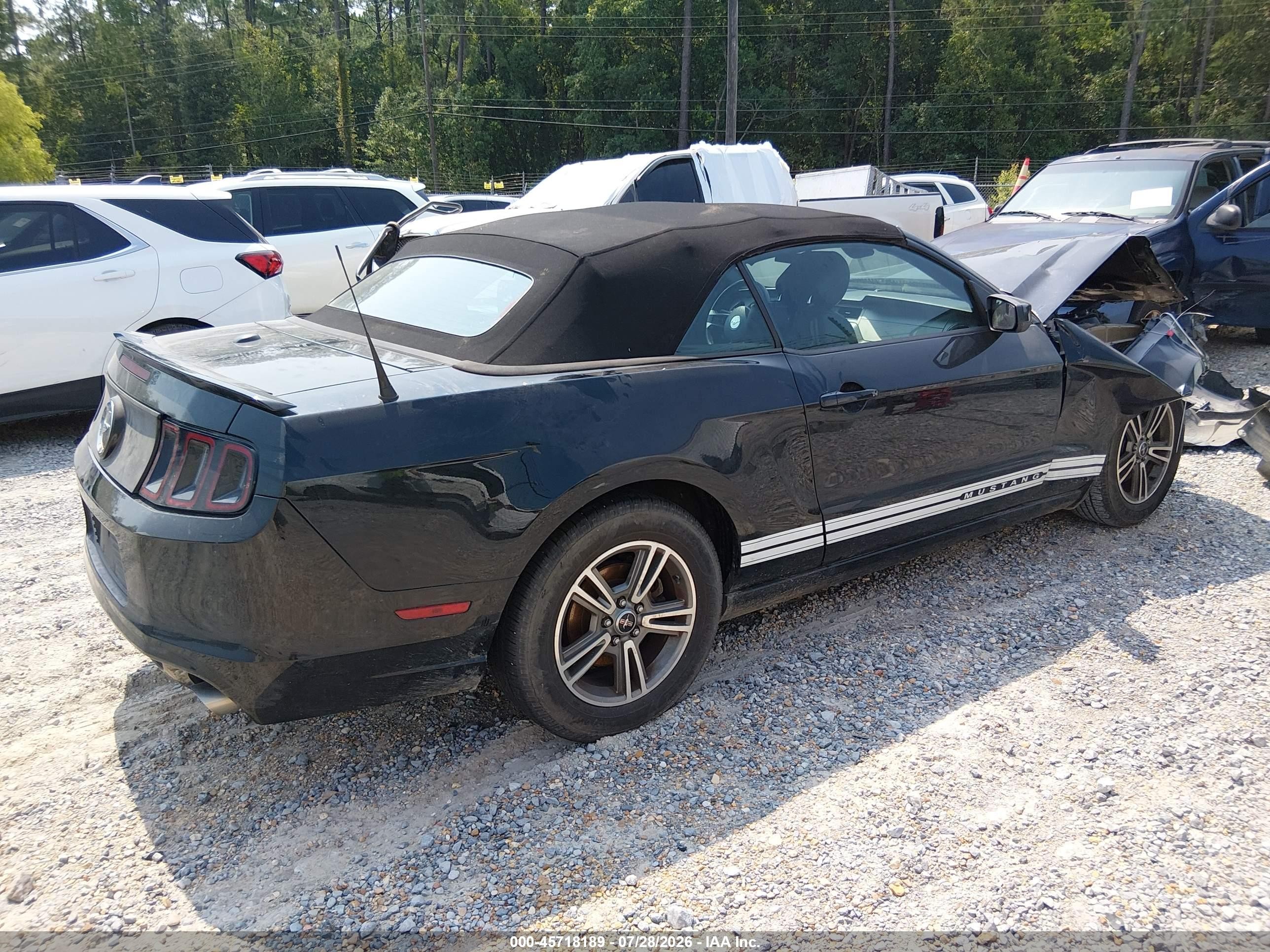 2013 Ford Mustang V6 Premium Black vin: 1ZVBP8EM6D5219372