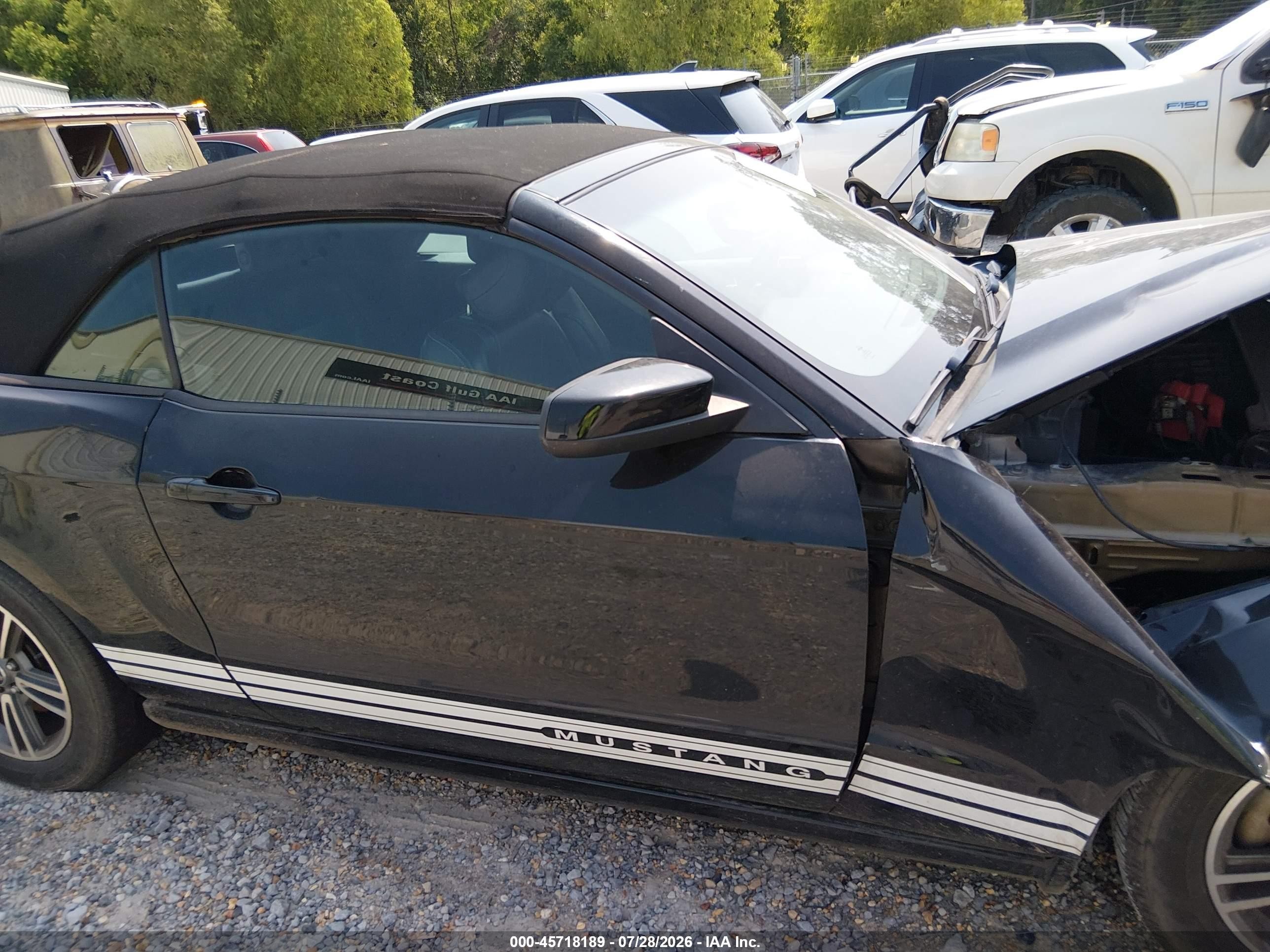 2013 Ford Mustang V6 Premium Black vin: 1ZVBP8EM6D5219372