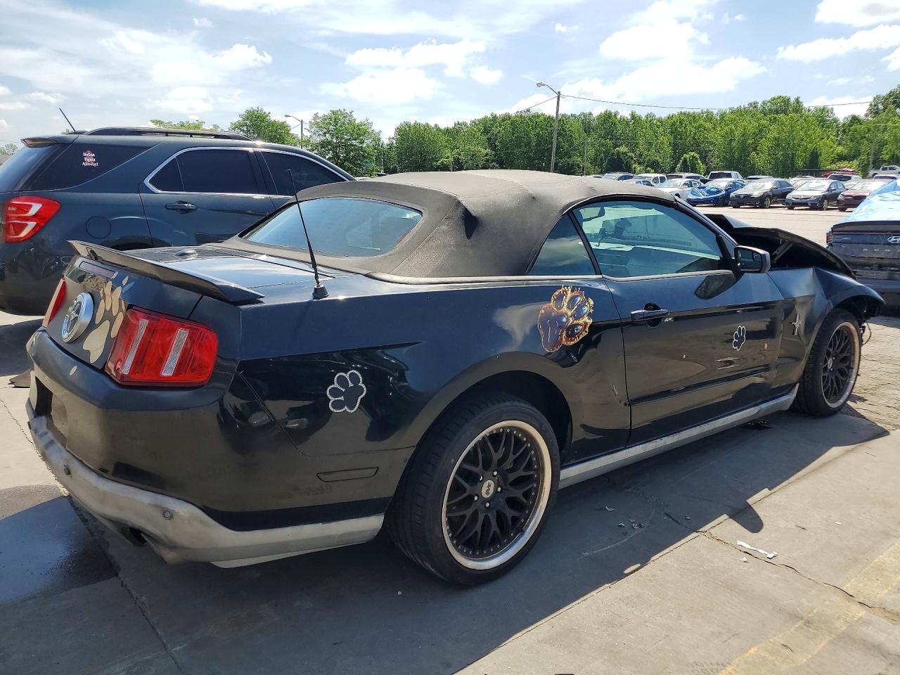 2012 Ford Mustang Black vin: 1ZVBP8EM7C5209545