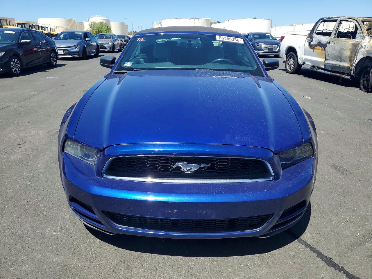 2013 Ford Mustang Blue vin: 1ZVBP8EM7D5219185