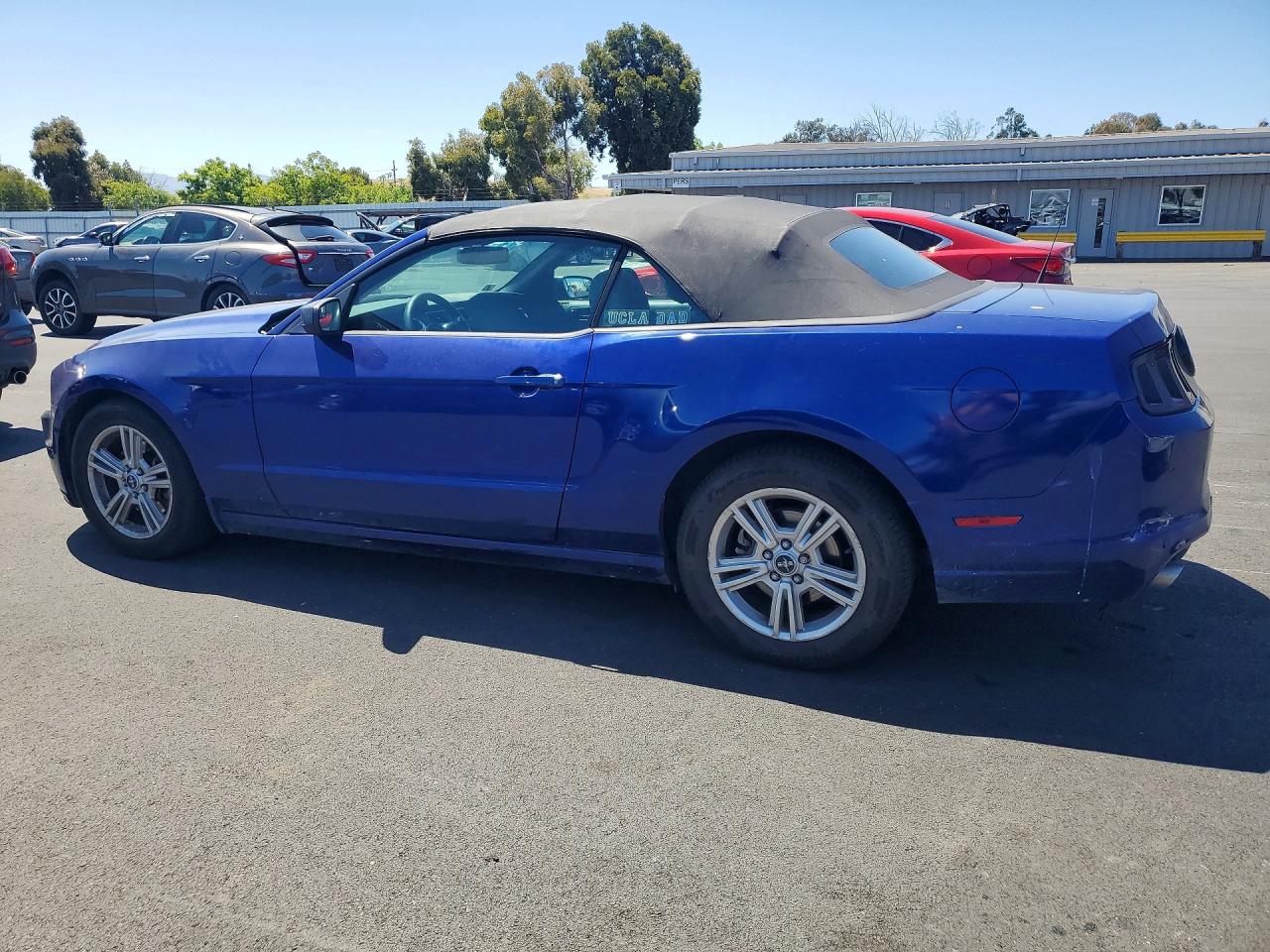 2013 Ford Mustang Blue vin: 1ZVBP8EM7D5219185
