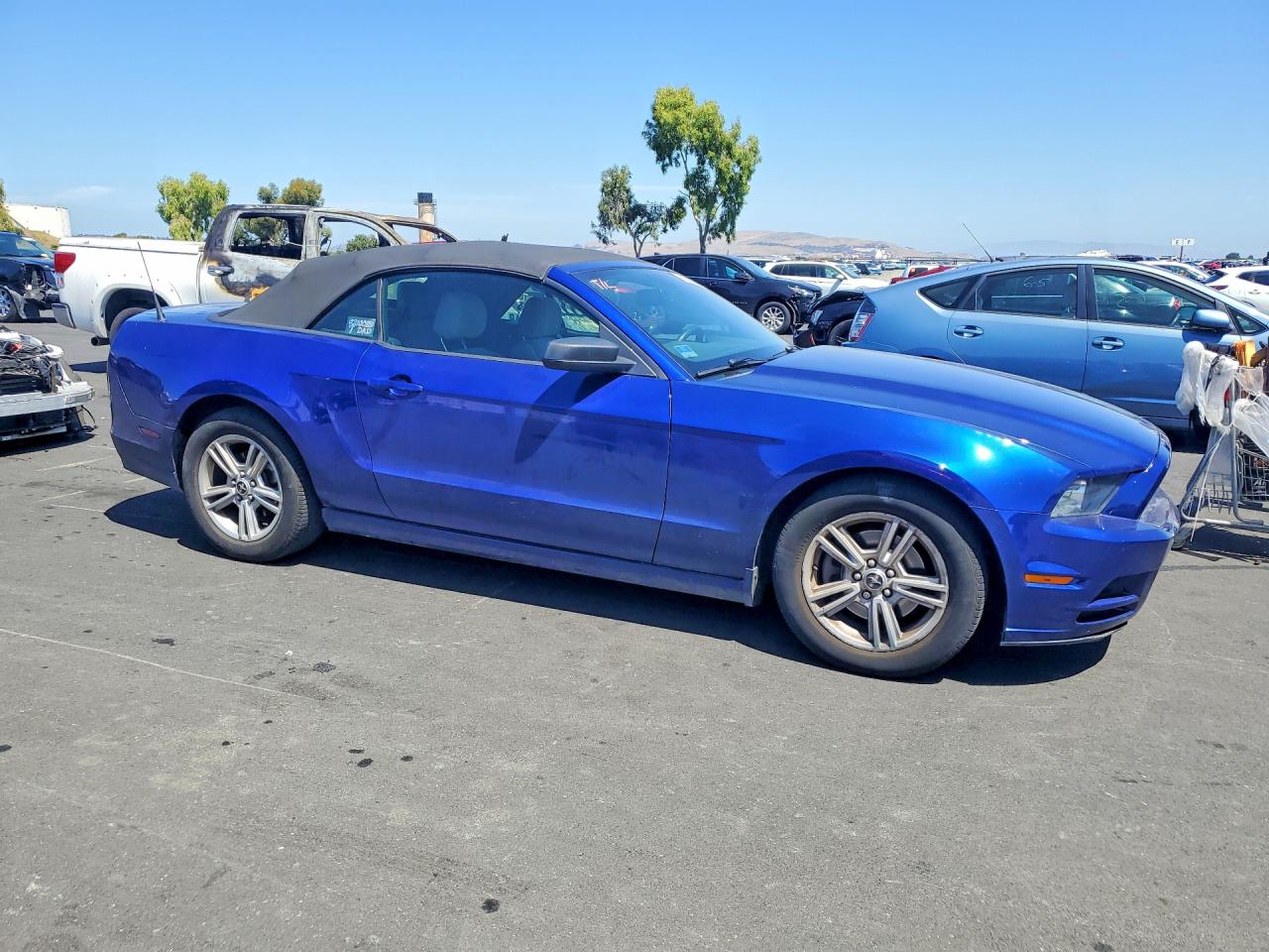 2013 Ford Mustang Blue vin: 1ZVBP8EM7D5219185