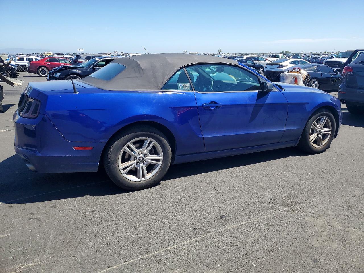 2013 Ford Mustang Blue vin: 1ZVBP8EM7D5219185