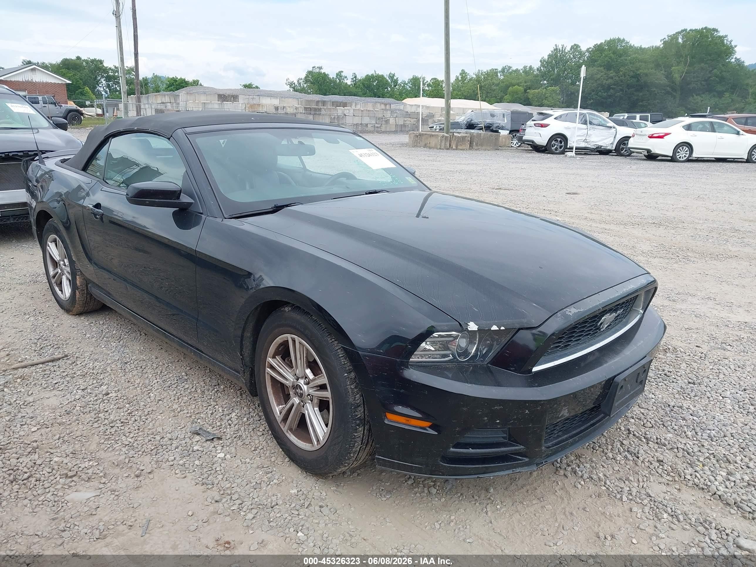 2013 Ford Mustang V6 Premium Black vin: 1ZVBP8EM7D5219509