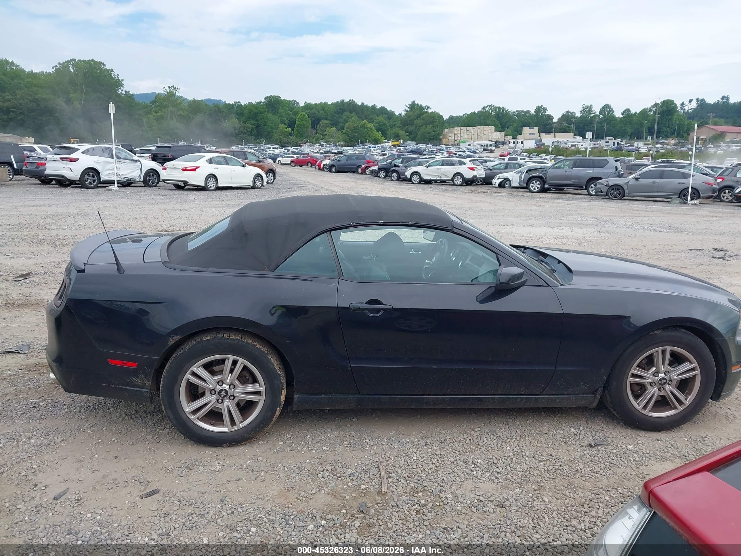2013 Ford Mustang V6 Premium Черный vin: 1ZVBP8EM7D5219509