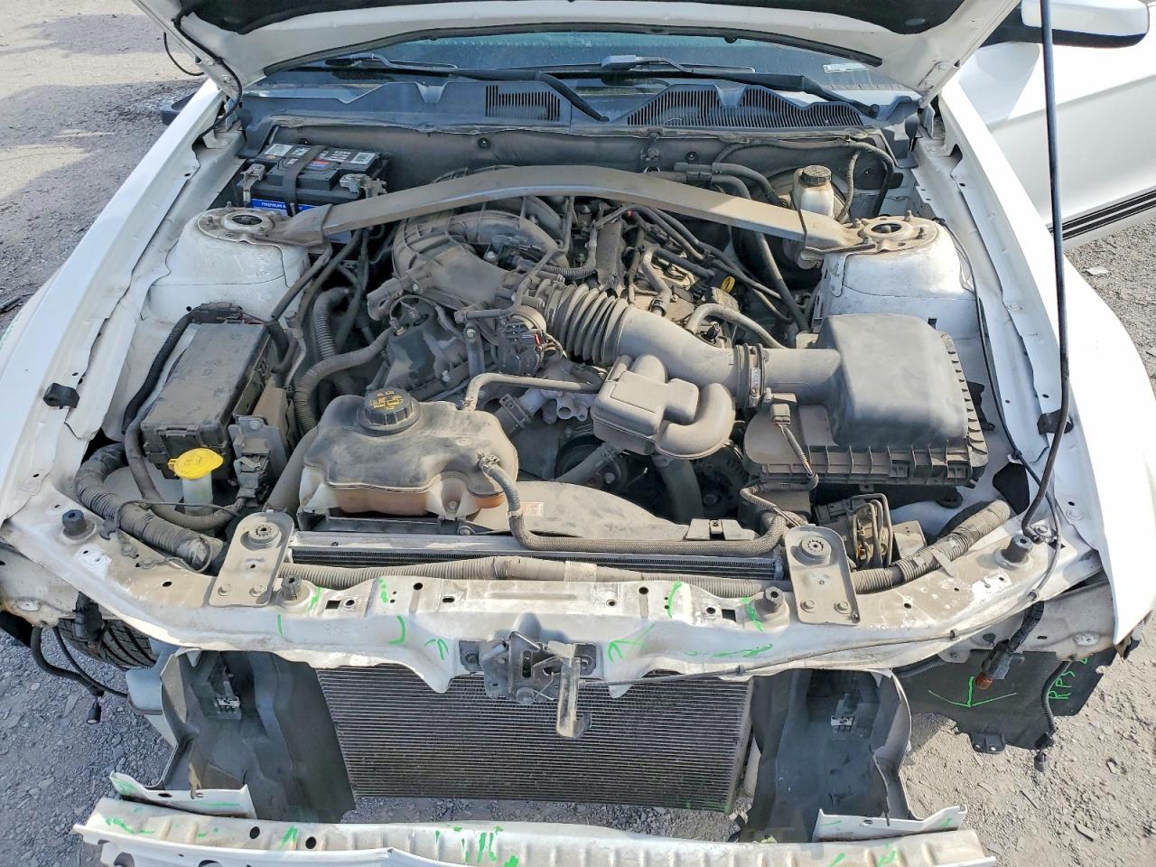2013 Ford Mustang Белый vin: 1ZVBP8EM7D5239775