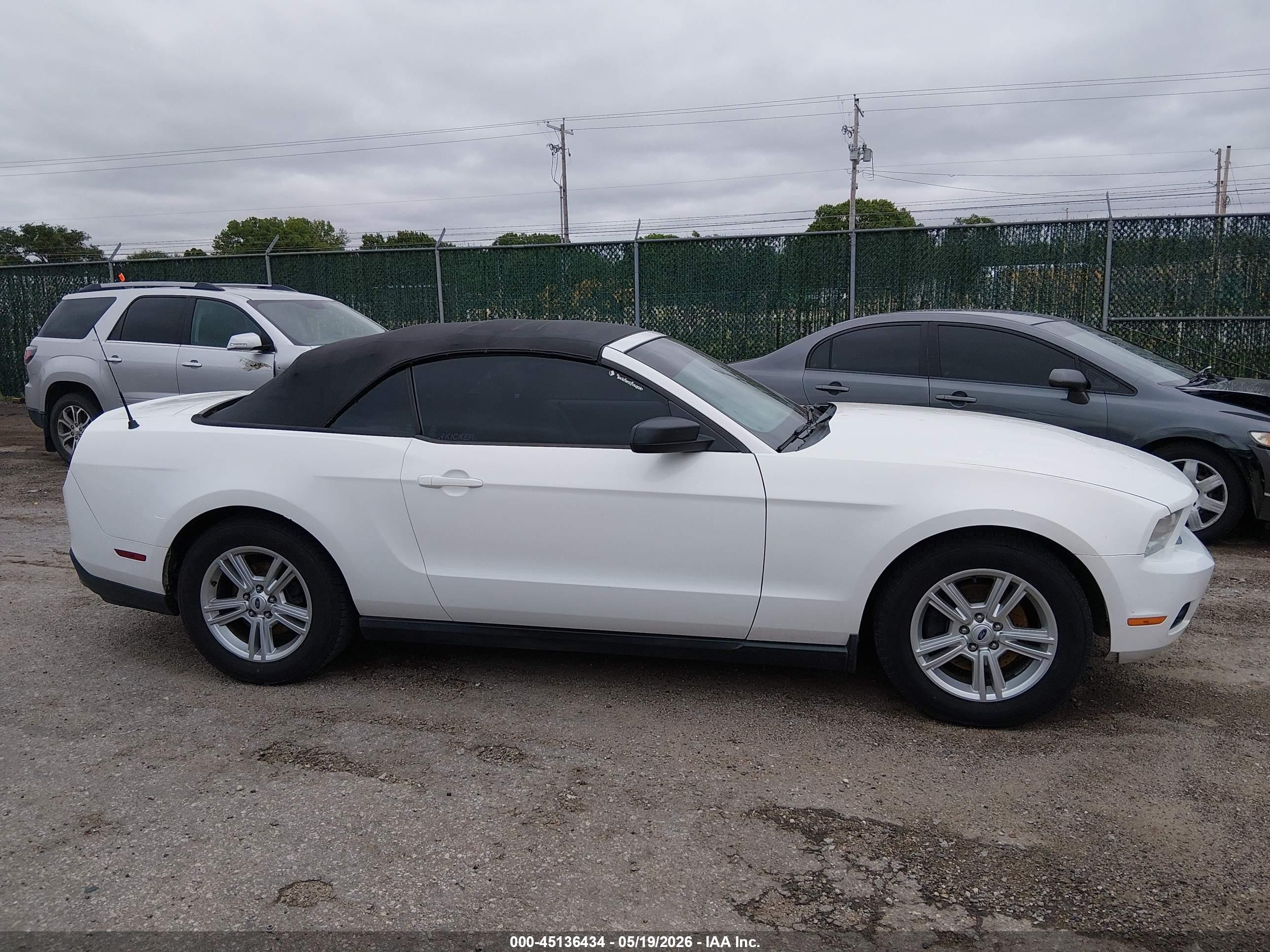 2011 Ford Mustang V6 White vin: 1ZVBP8EM8B5138239