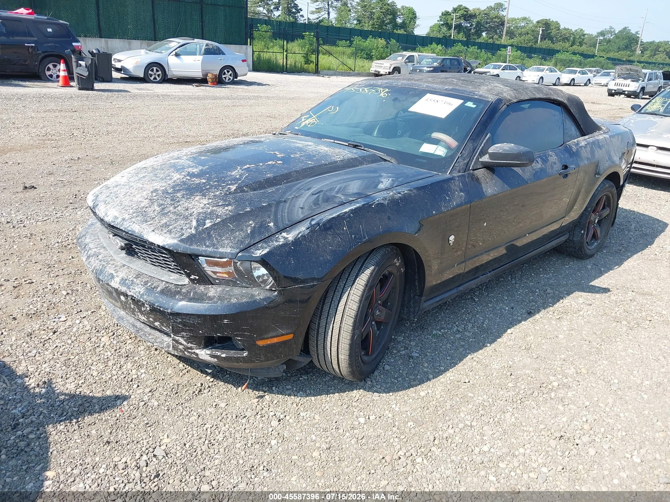 2012 Ford Mustang V6 Black vin: 1ZVBP8EM8C5242098