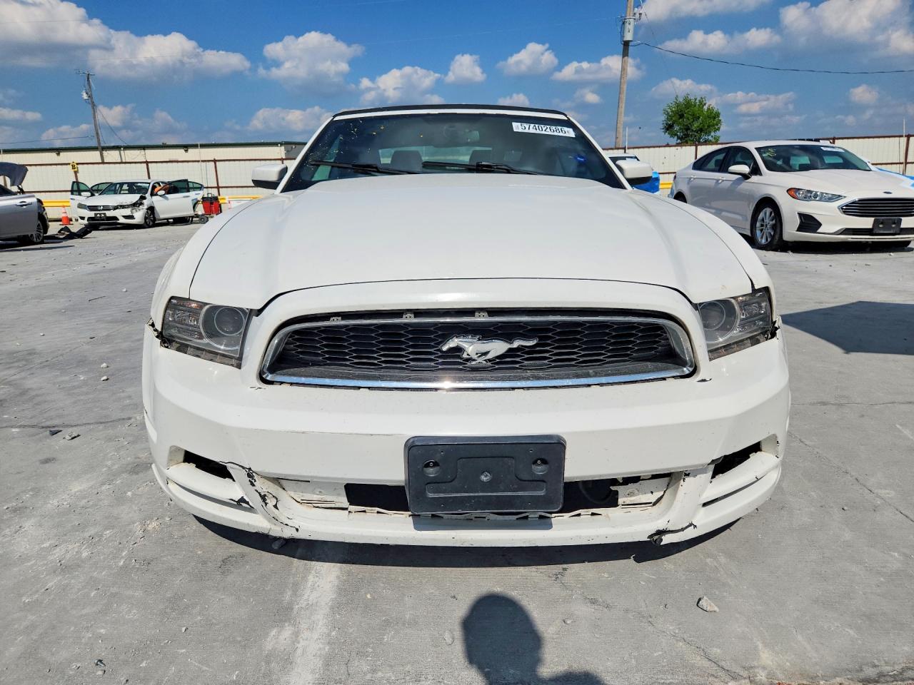 2013 Ford Mustang White vin: 1ZVBP8EM8D5202864