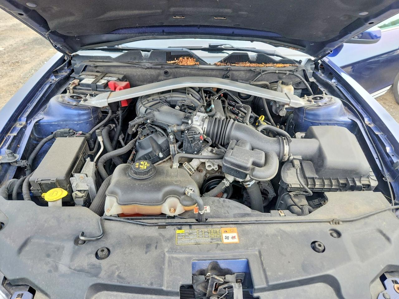 2011 Ford Mustang Синий vin: 1ZVBP8EM9B5102768
