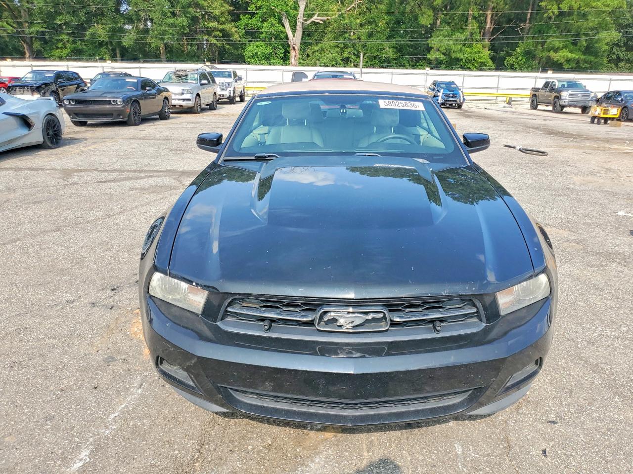 2011 Ford Mustang Black vin: 1ZVBP8EM9B5123930