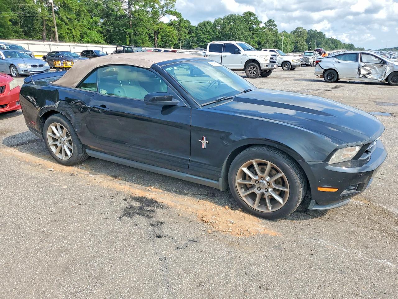 2011 Ford Mustang Black vin: 1ZVBP8EM9B5123930