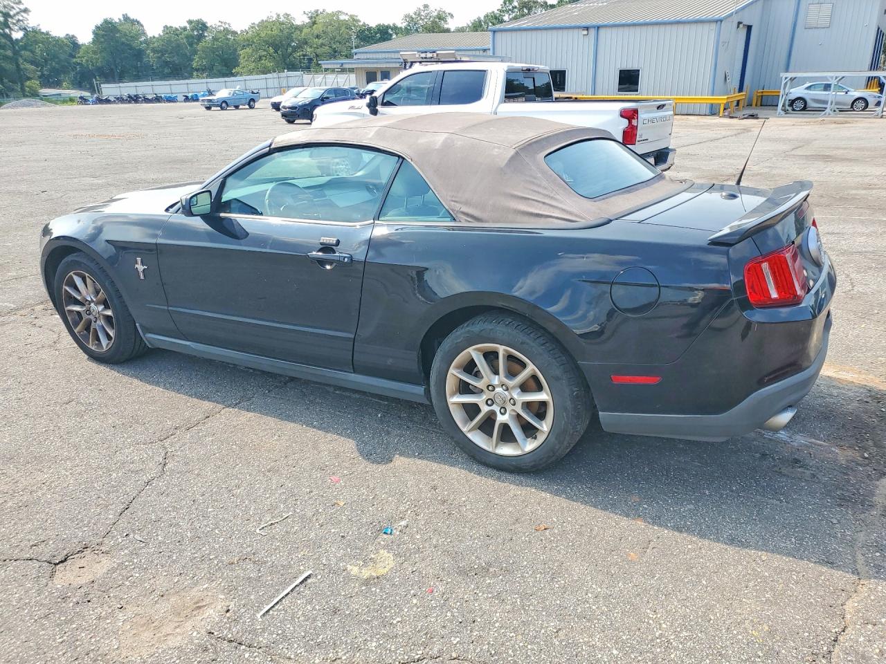 2011 Ford Mustang Black vin: 1ZVBP8EM9B5123930