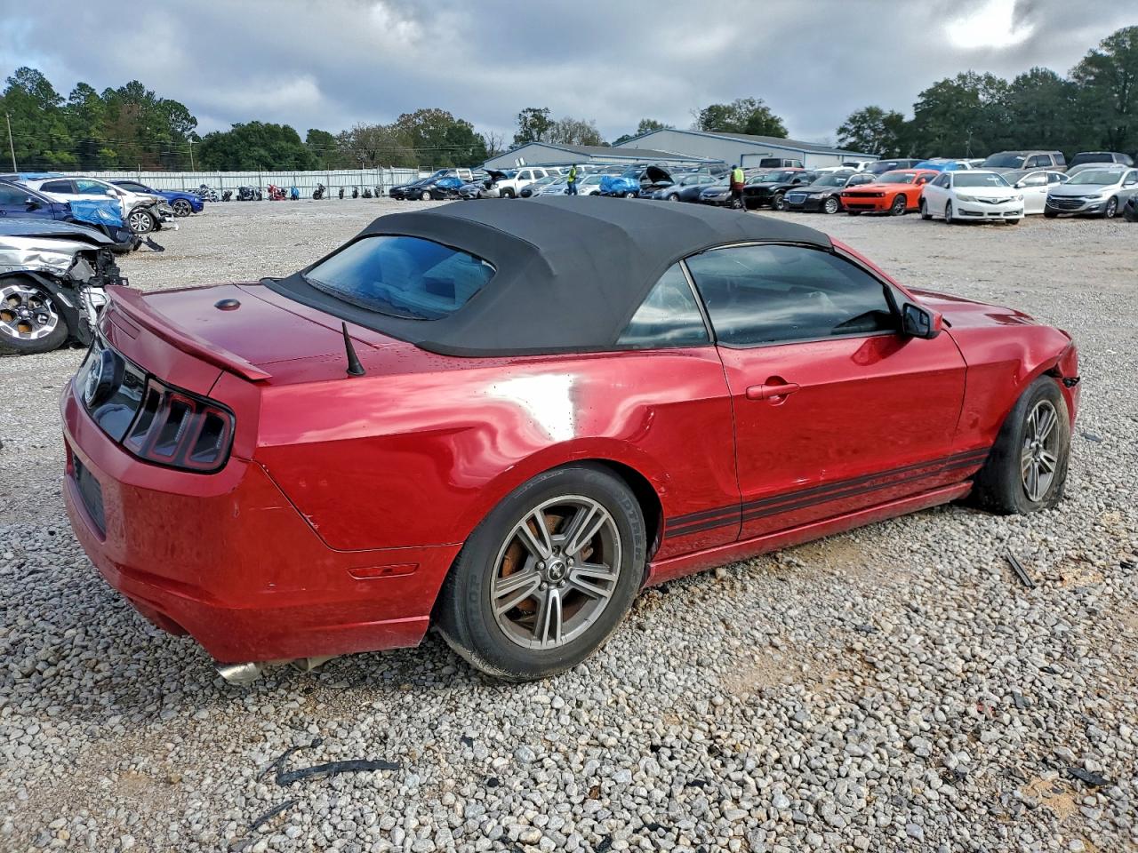 2013 Ford Mustang Красный vin: 1ZVBP8EM9D5204459