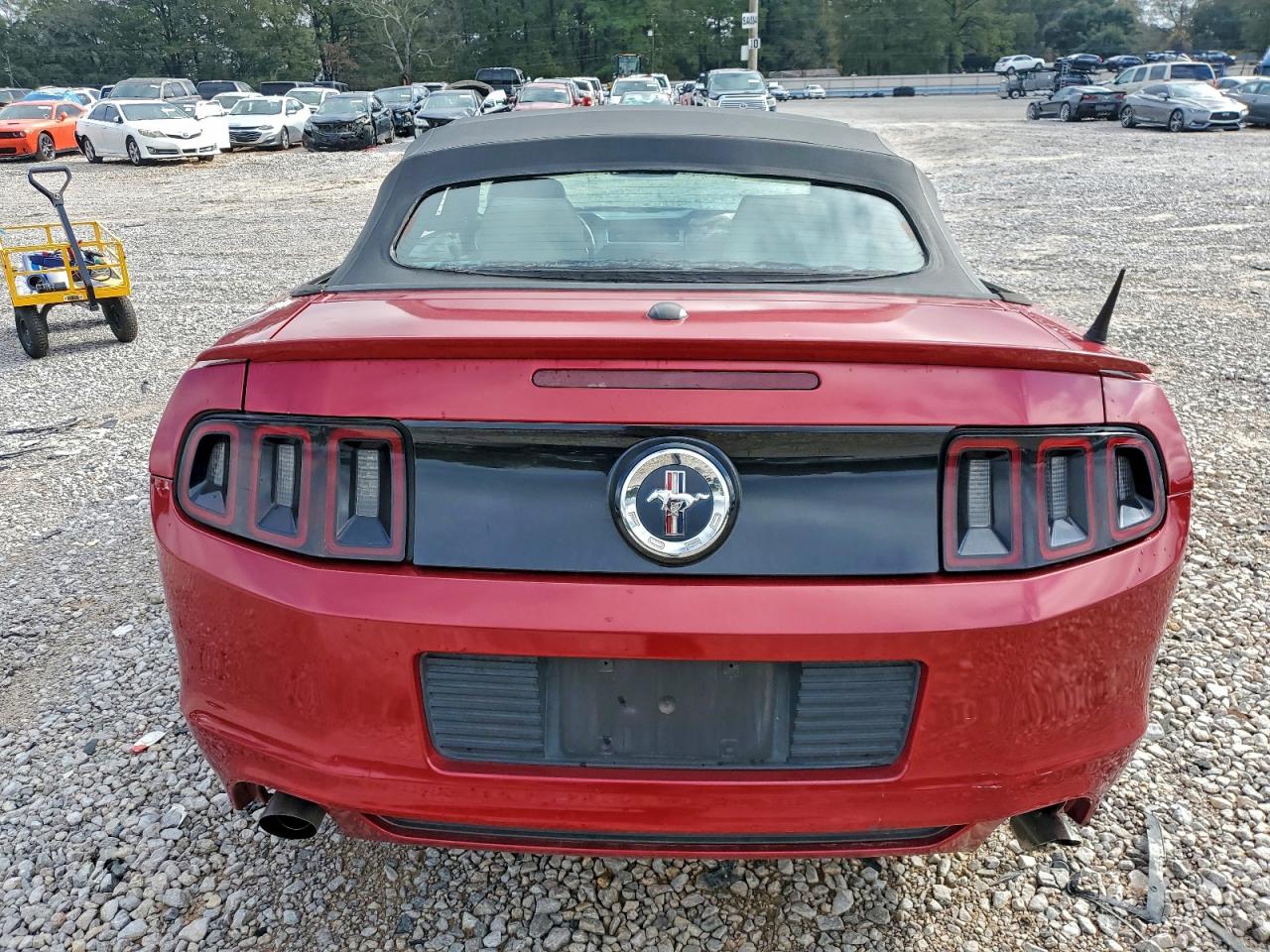 2013 Ford Mustang Красный vin: 1ZVBP8EM9D5204459