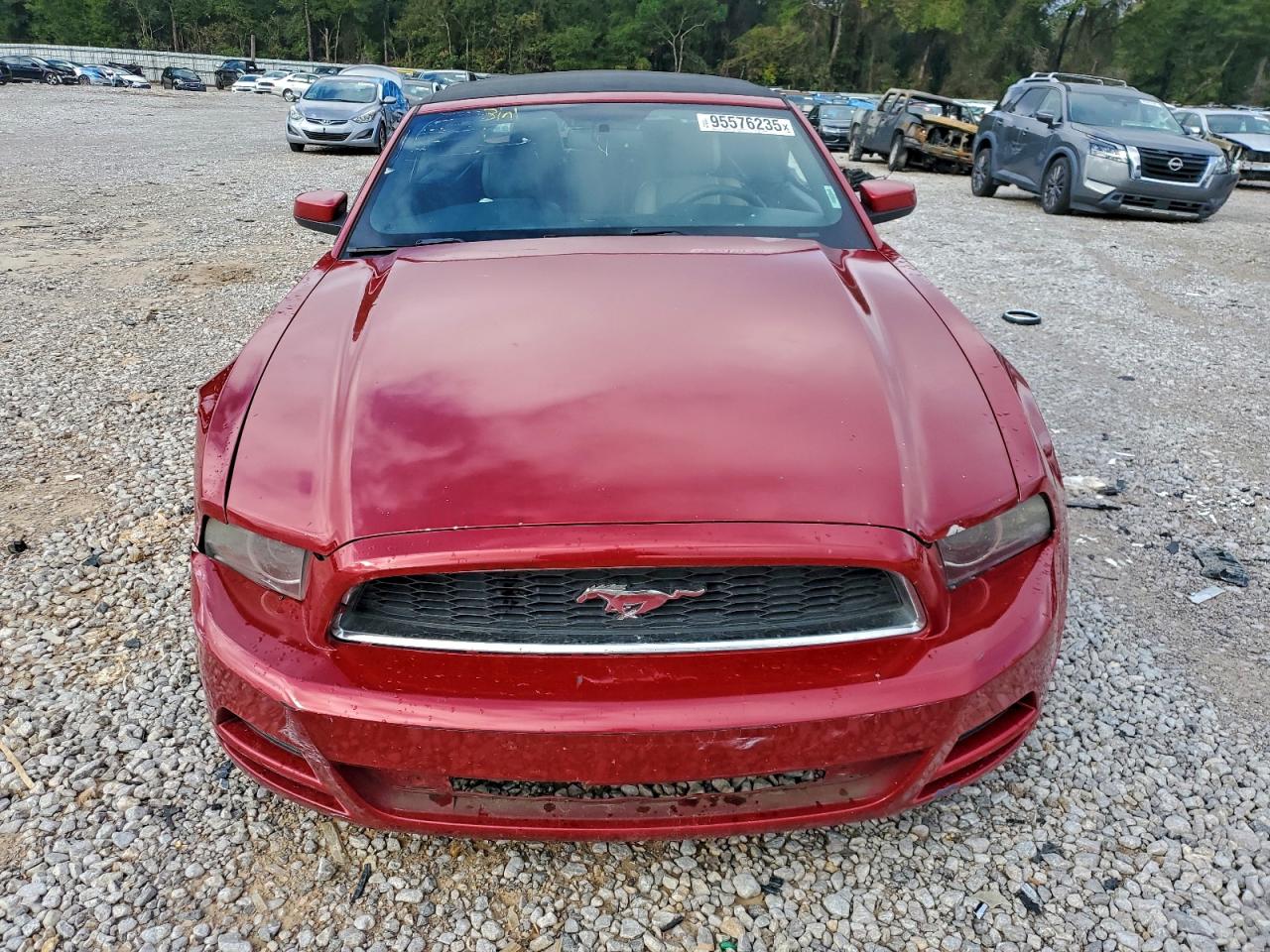 2013 Ford Mustang Красный vin: 1ZVBP8EM9D5204459