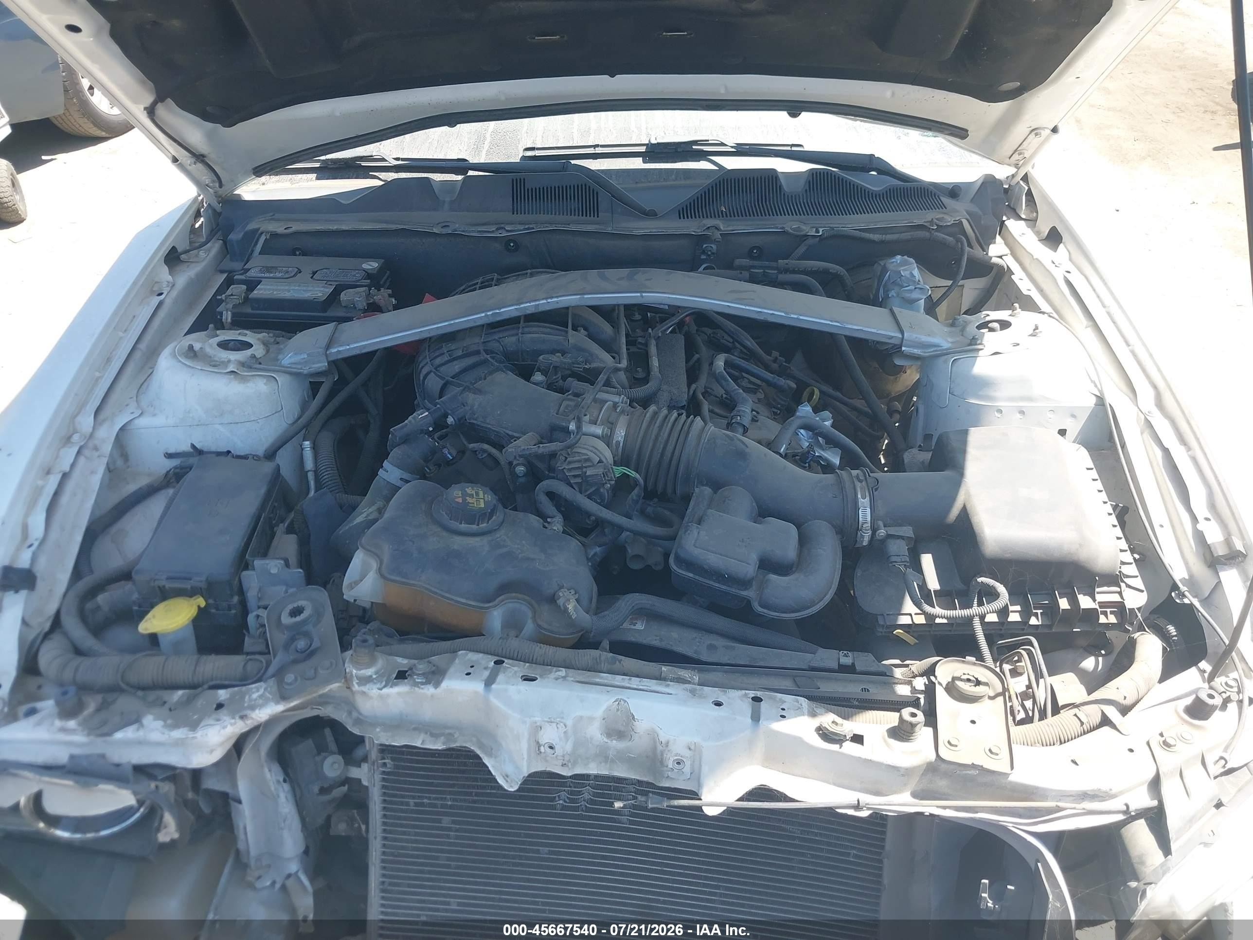 2013 Ford Mustang V6 White vin: 1ZVBP8EMXD5211338