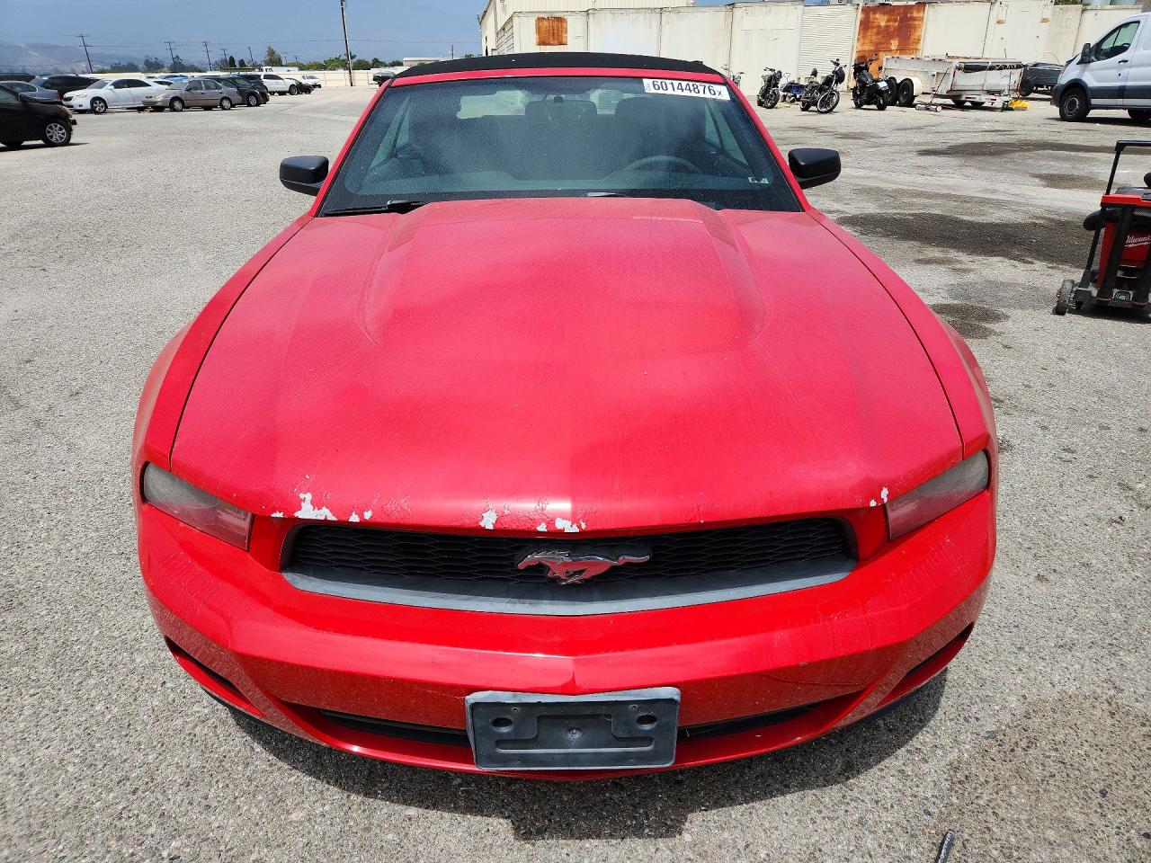 2010 Ford Mustang Red vin: 1ZVBP8EN0A5116680