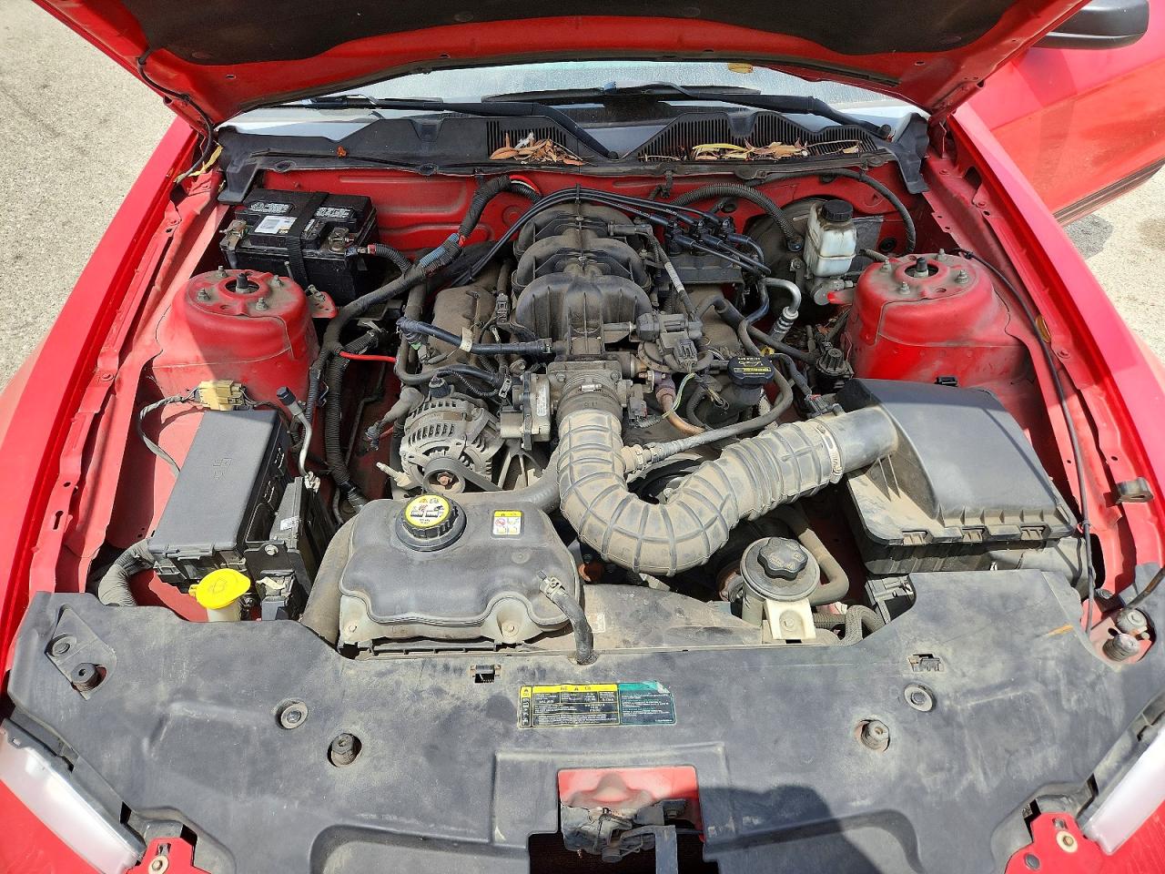2010 Ford Mustang Red vin: 1ZVBP8EN0A5116680