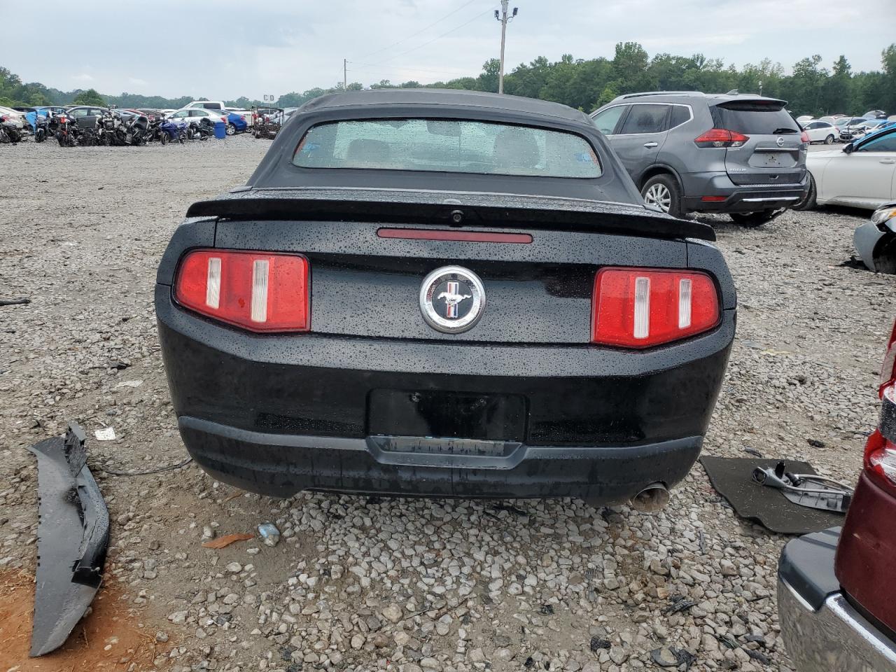 2010 Ford Mustang Black vin: 1ZVBP8EN0A5120048