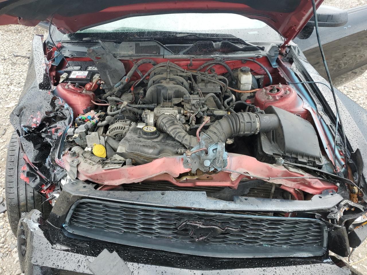 2010 Ford Mustang Black vin: 1ZVBP8EN0A5120048