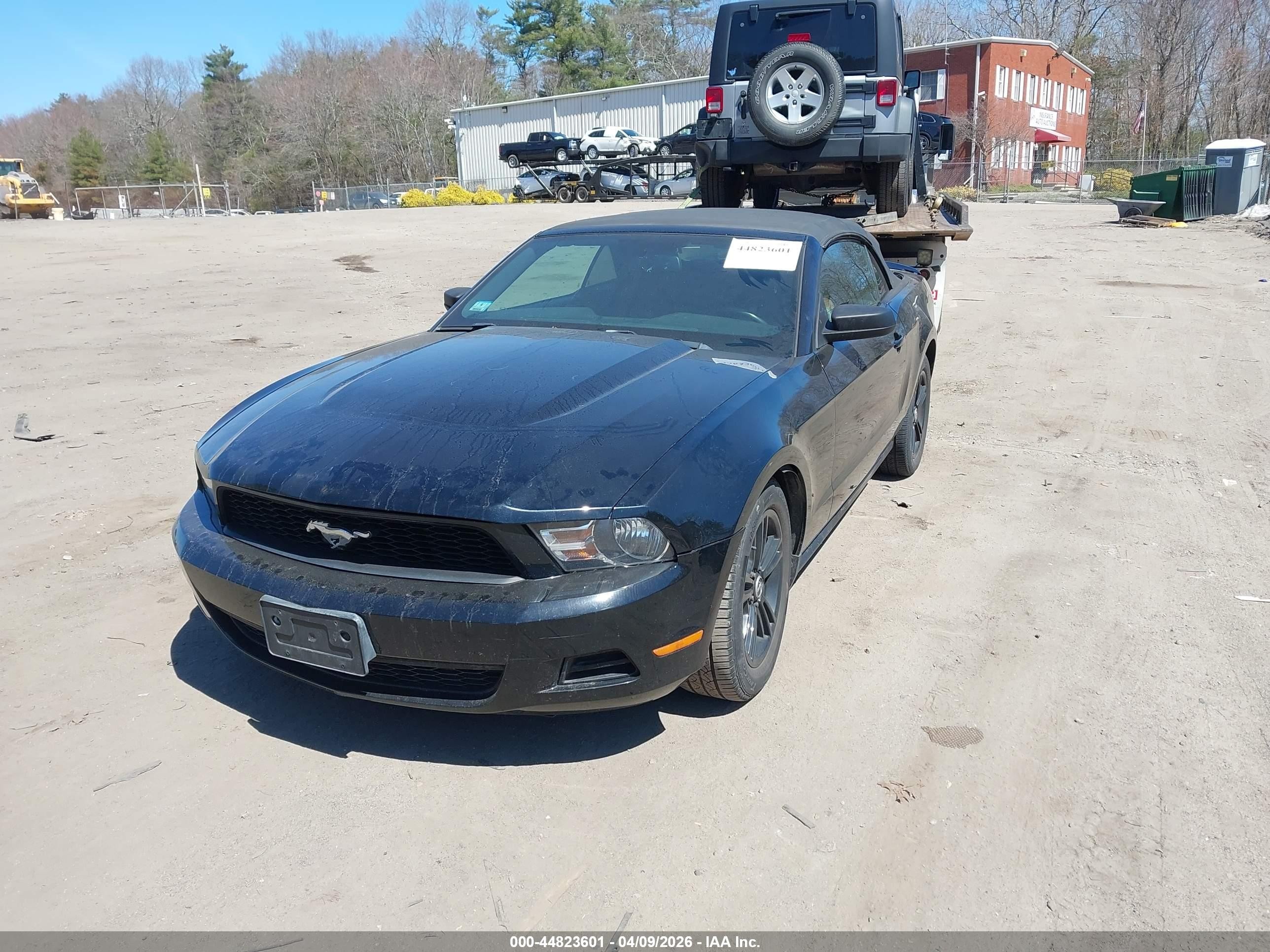 2010 Ford Mustang V6/v6 Premium Black vin: 1ZVBP8EN0A5127825