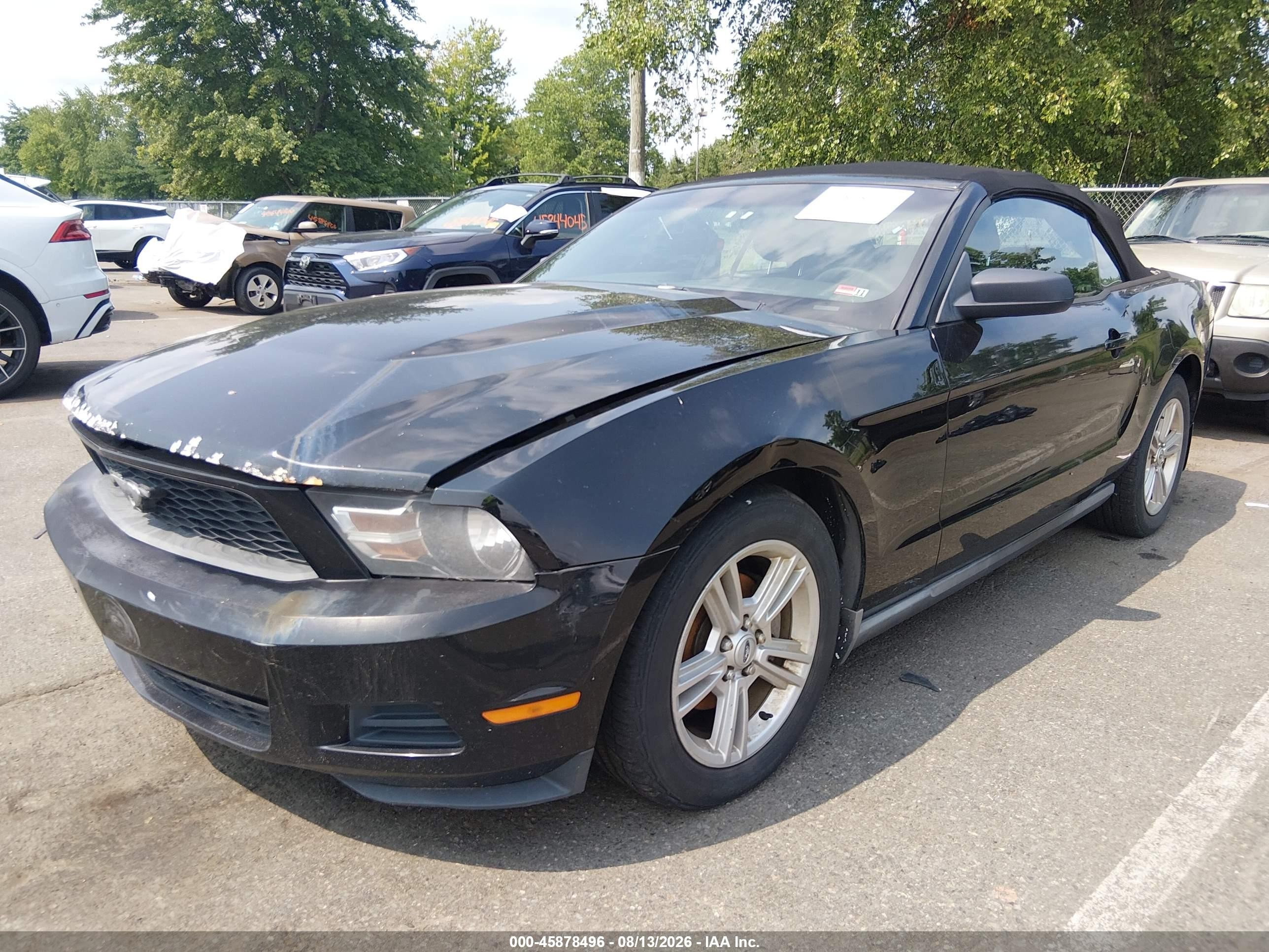2010 Ford Mustang V6/v6 Premium Black vin: 1ZVBP8EN0A5128604