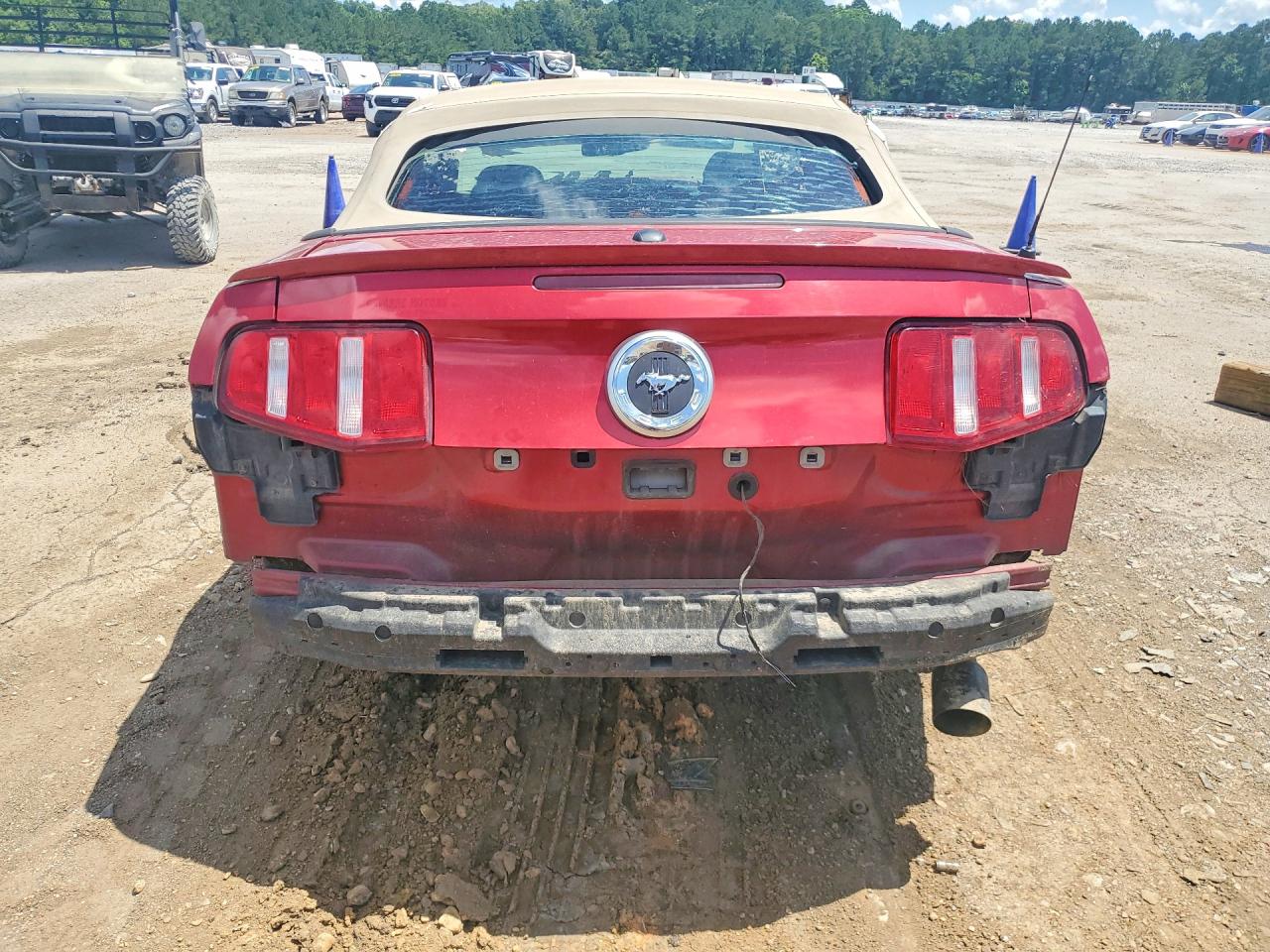 2010 Ford Mustang Красный vin: 1ZVBP8EN3A5116186