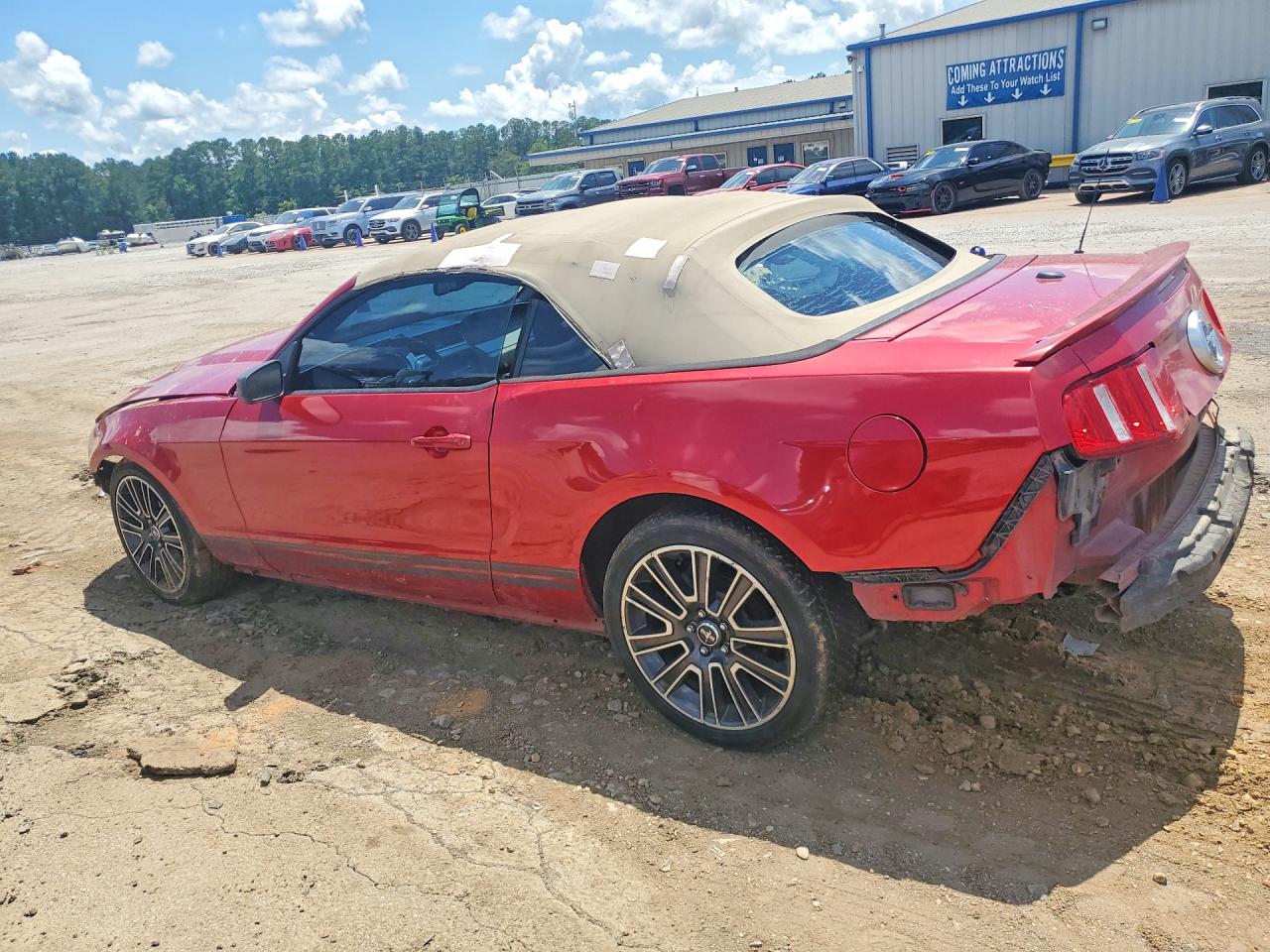 2010 Ford Mustang Красный vin: 1ZVBP8EN3A5116186