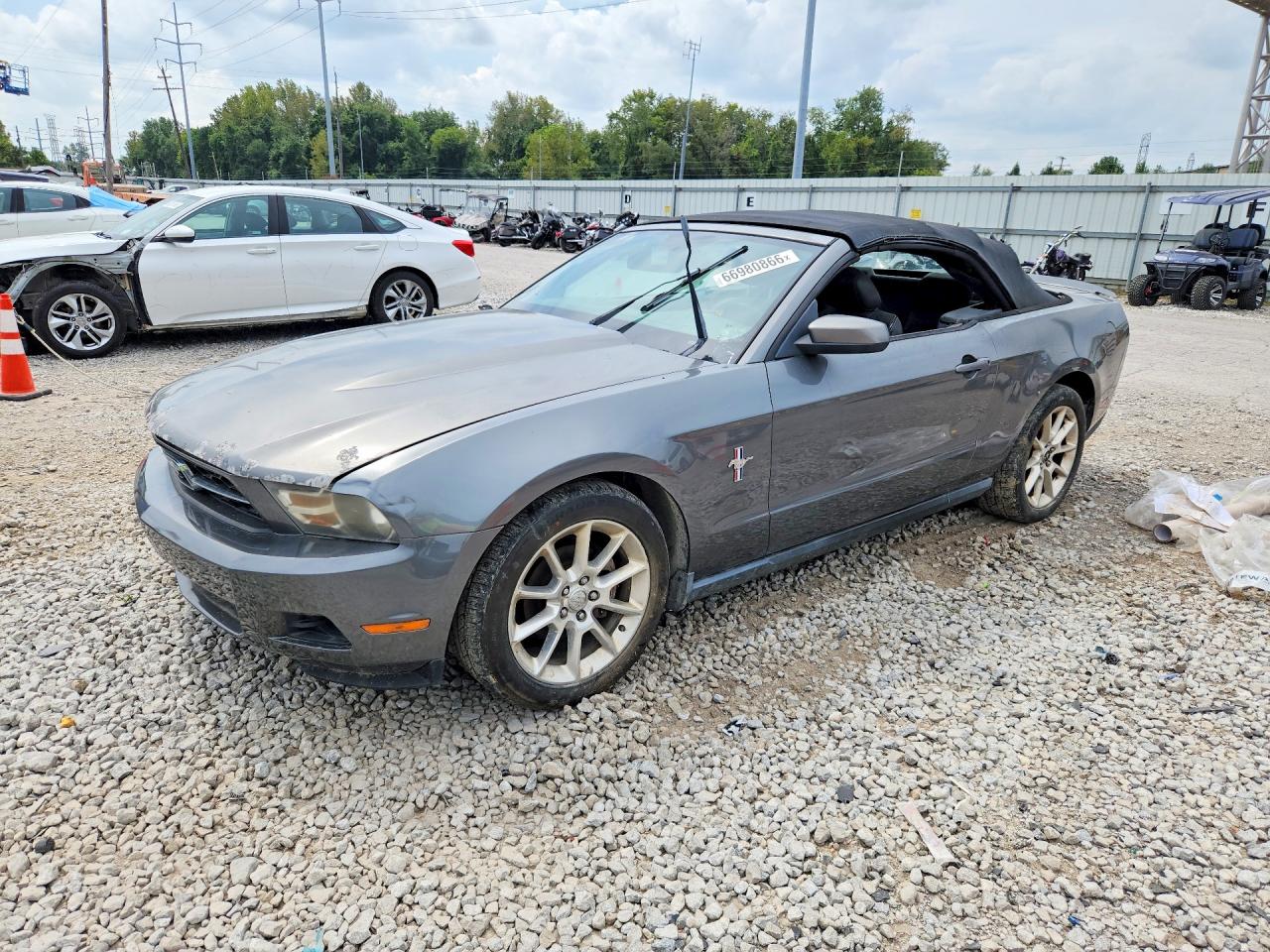2010 Ford Mustang Серый vin: 1ZVBP8EN3A5165307