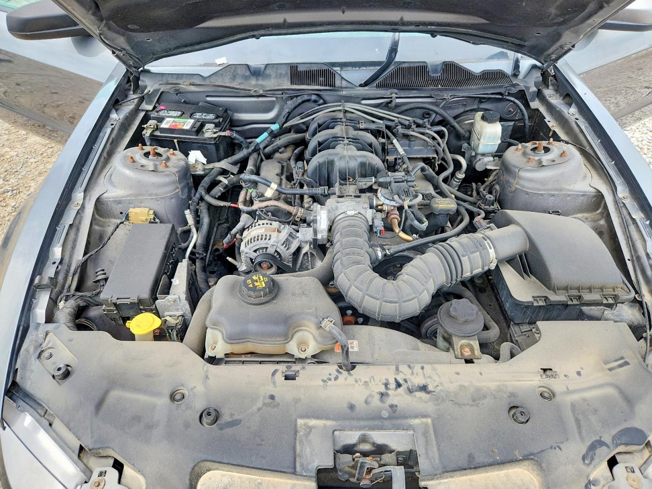 2010 Ford Mustang Серый vin: 1ZVBP8EN3A5165307