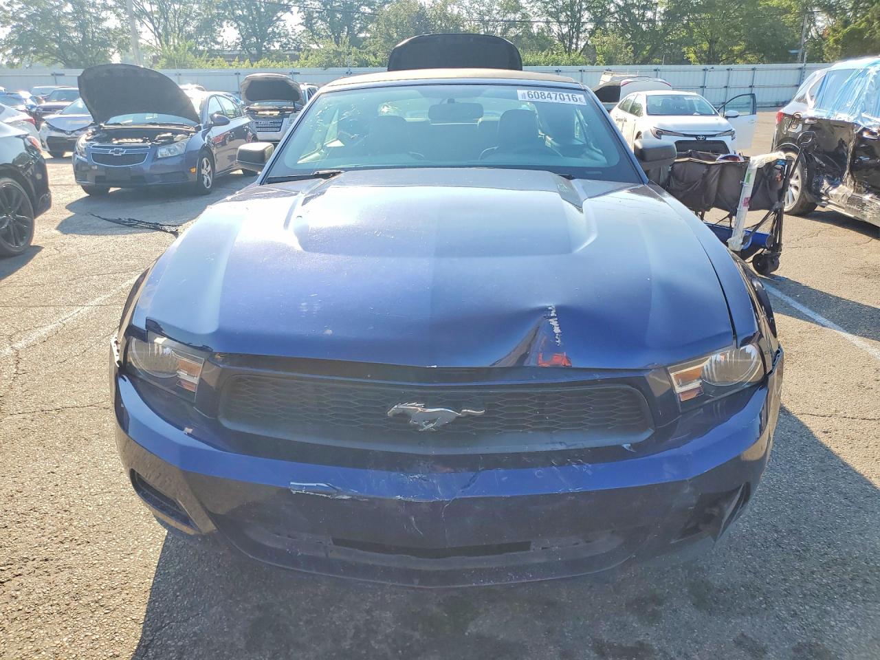 2010 Ford Mustang Синий vin: 1ZVBP8EN4A5178499