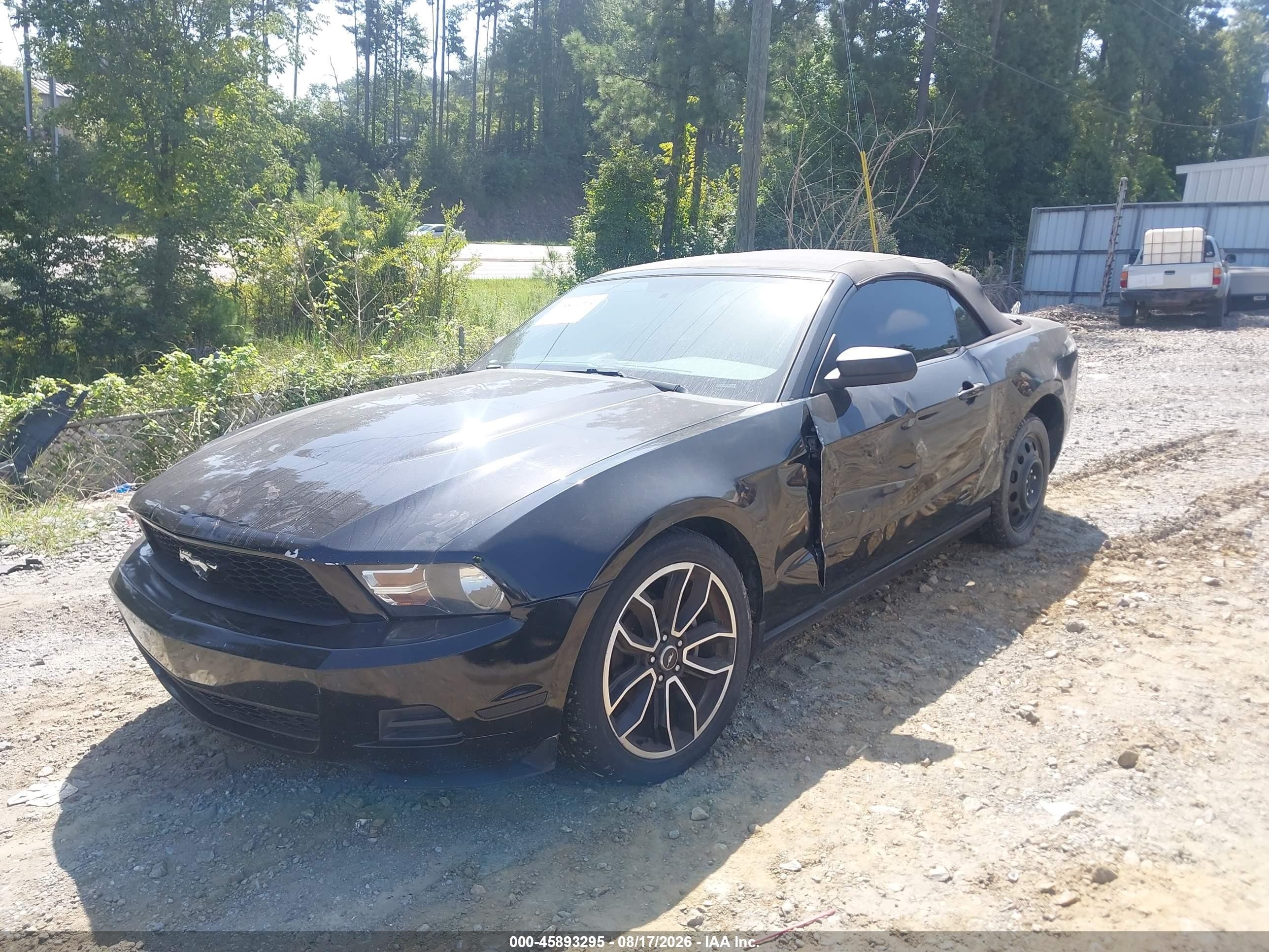 2010 Ford Mustang V6/v6 Premium Черный vin: 1ZVBP8EN5A5113502