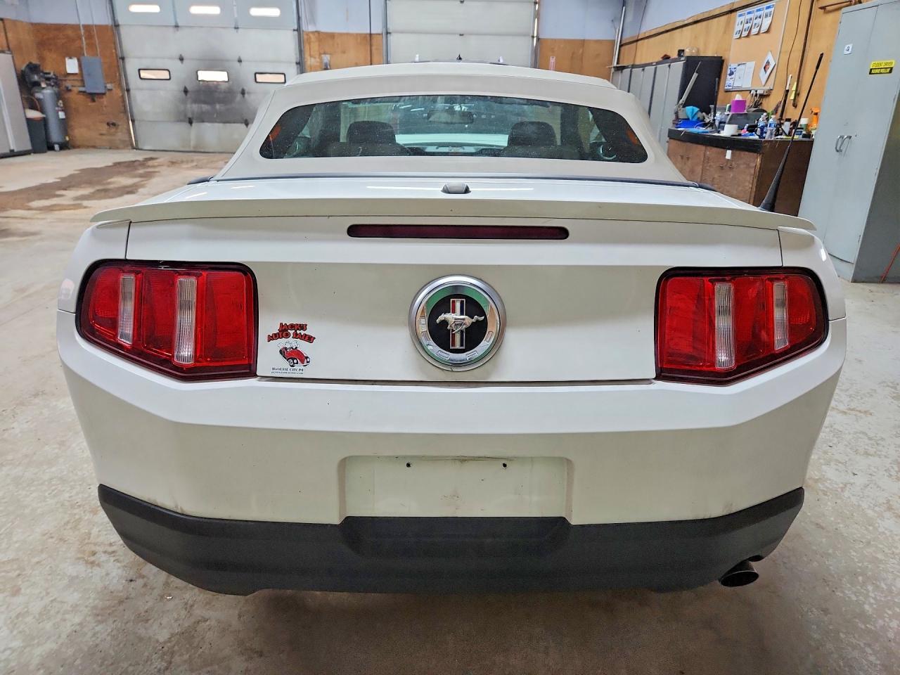2010 Ford Mustang White vin: 1ZVBP8EN7A5122041
