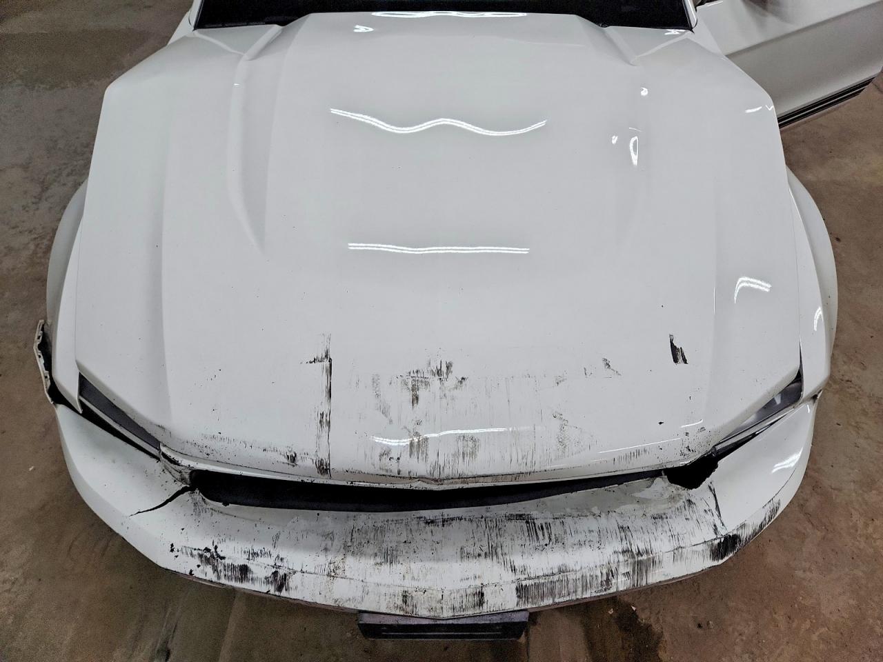 2010 Ford Mustang White vin: 1ZVBP8EN7A5122041