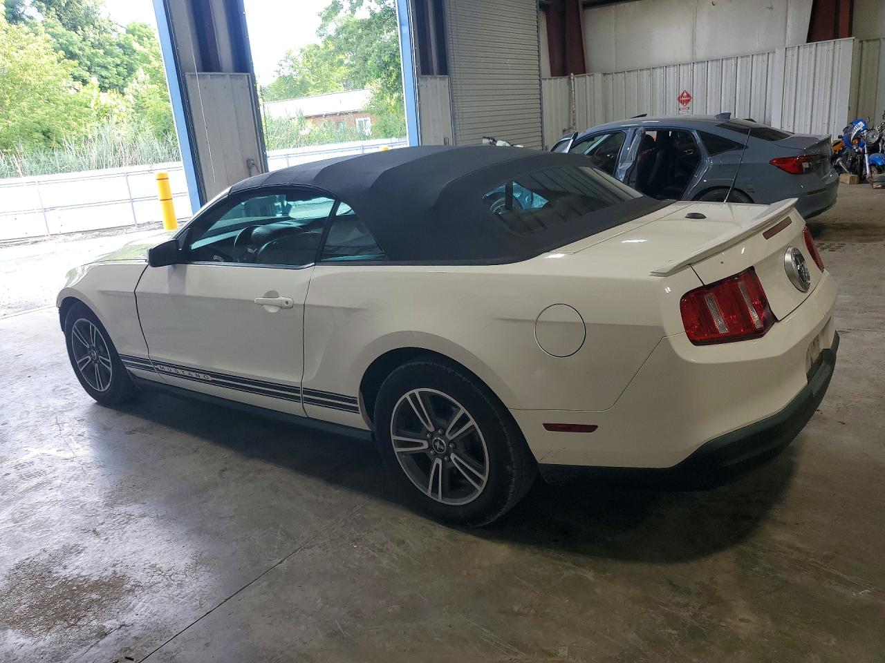 2010 Ford Mustang White vin: 1ZVBP8ENXA5116203