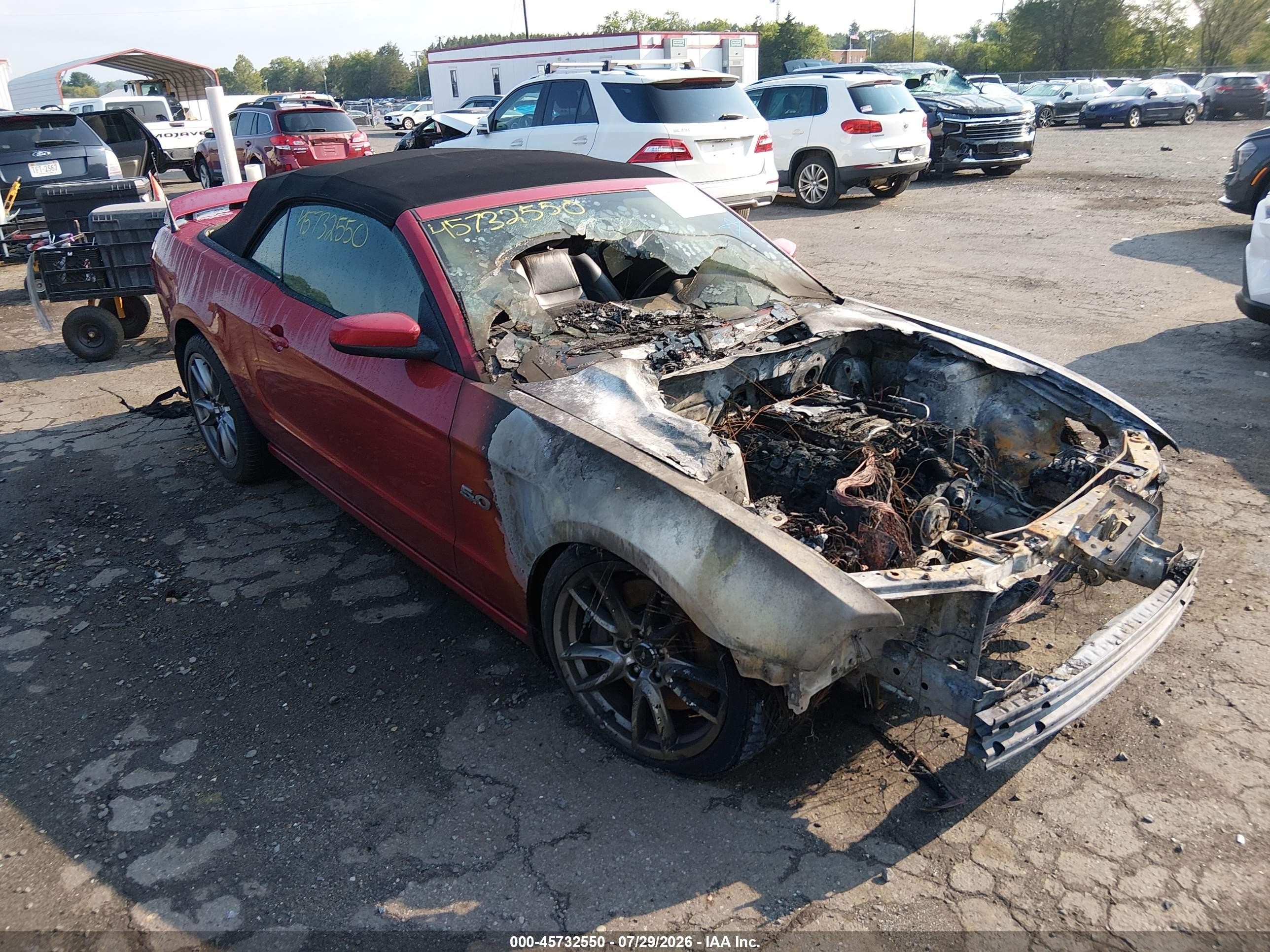 2013 Ford Mustang Gt Premium Красный vin: 1ZVBP8FF0D5225586