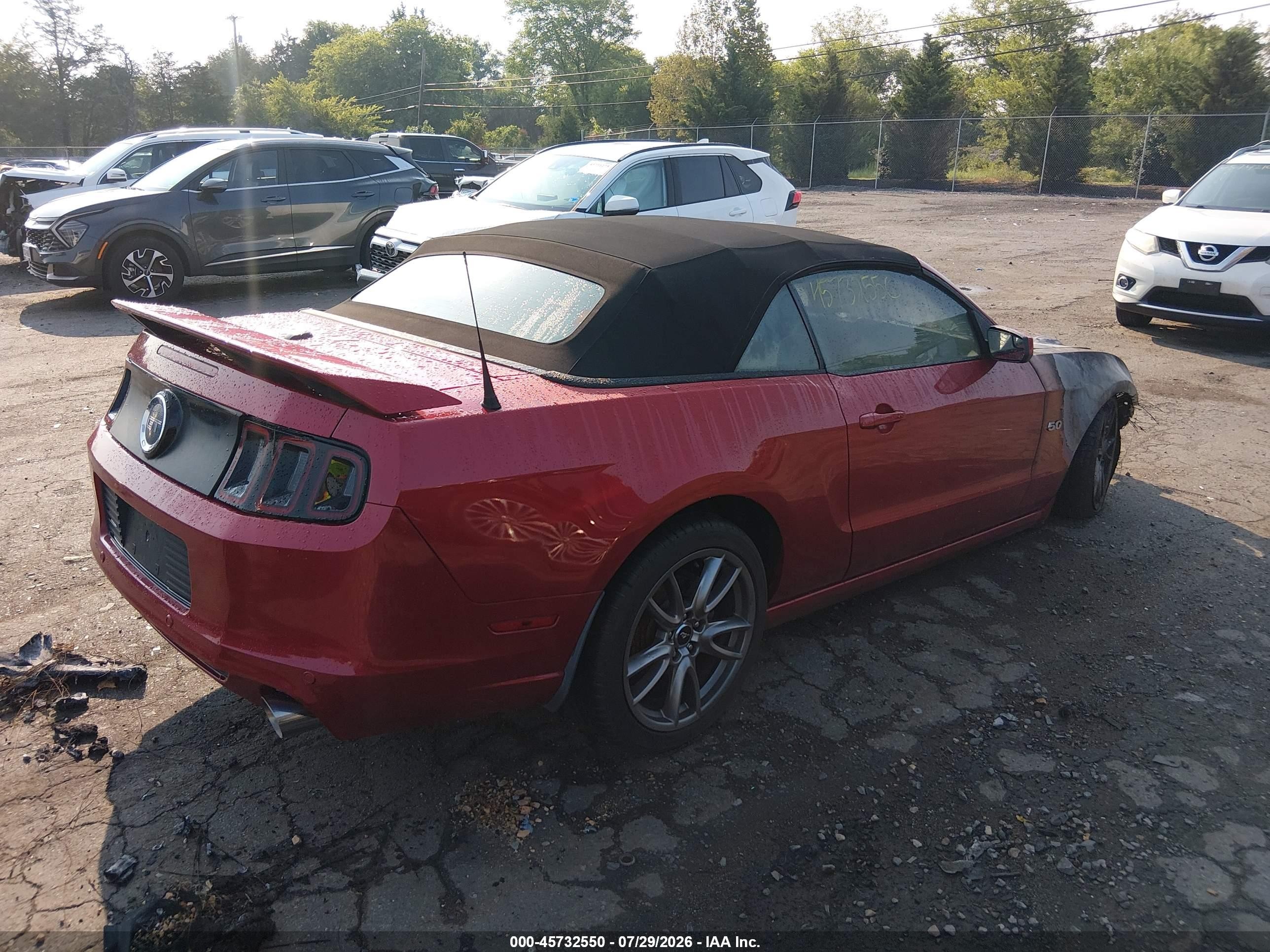 2013 Ford Mustang Gt Premium Красный vin: 1ZVBP8FF0D5225586