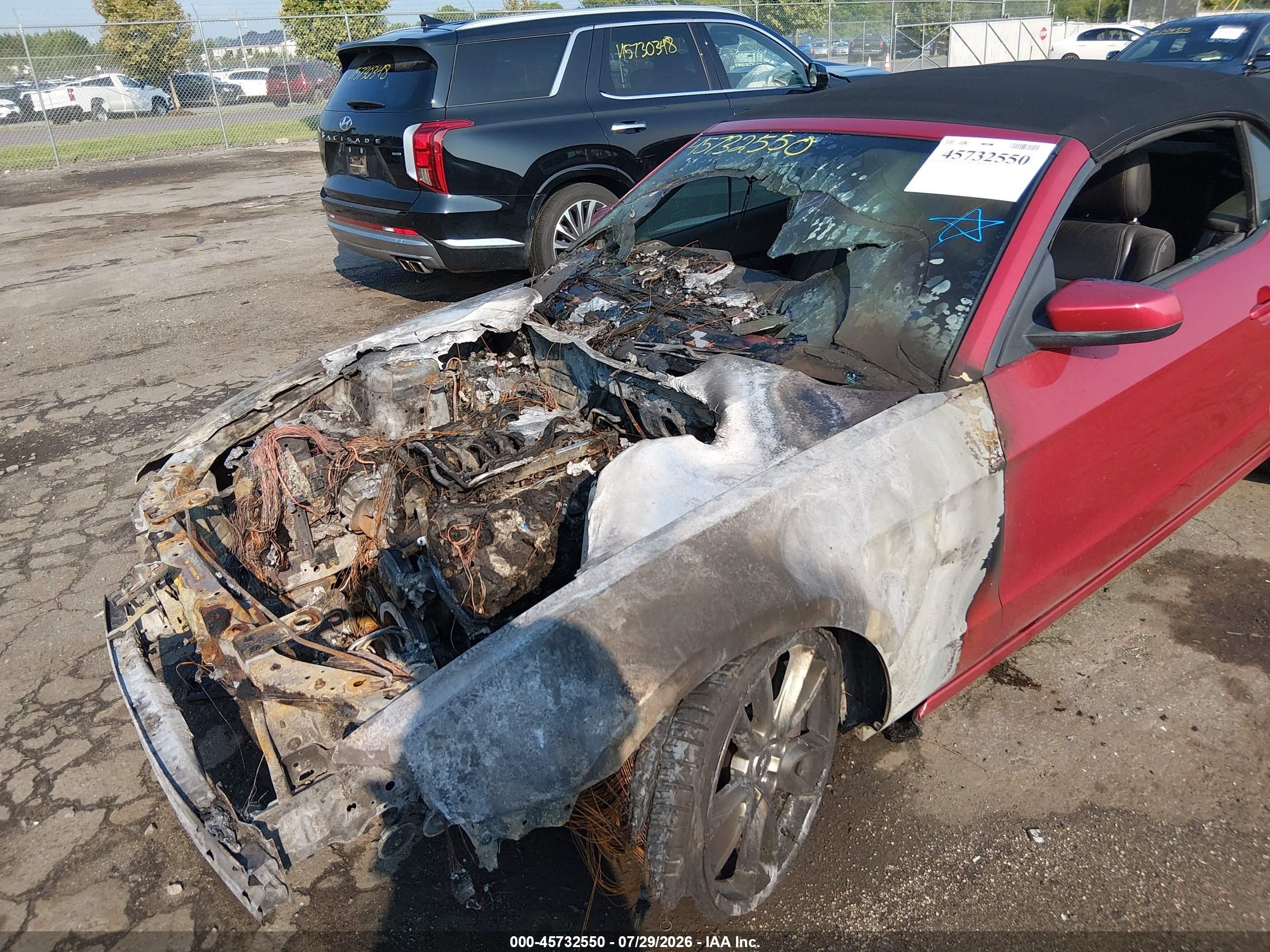 2013 Ford Mustang Gt Premium Красный vin: 1ZVBP8FF0D5225586
