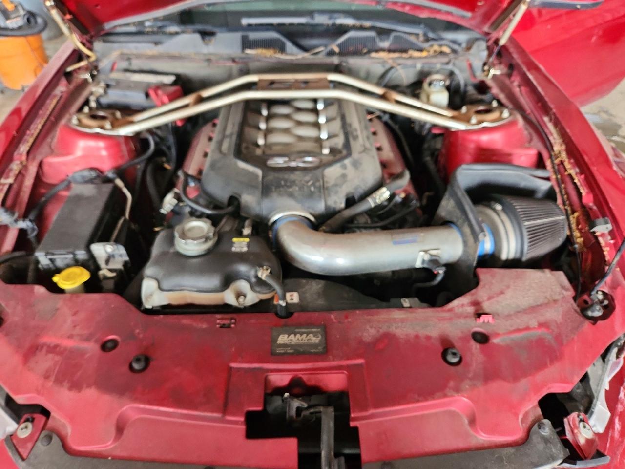 2011 Ford Mustang Gt Burgundy vin: 1ZVBP8FF3B5104564