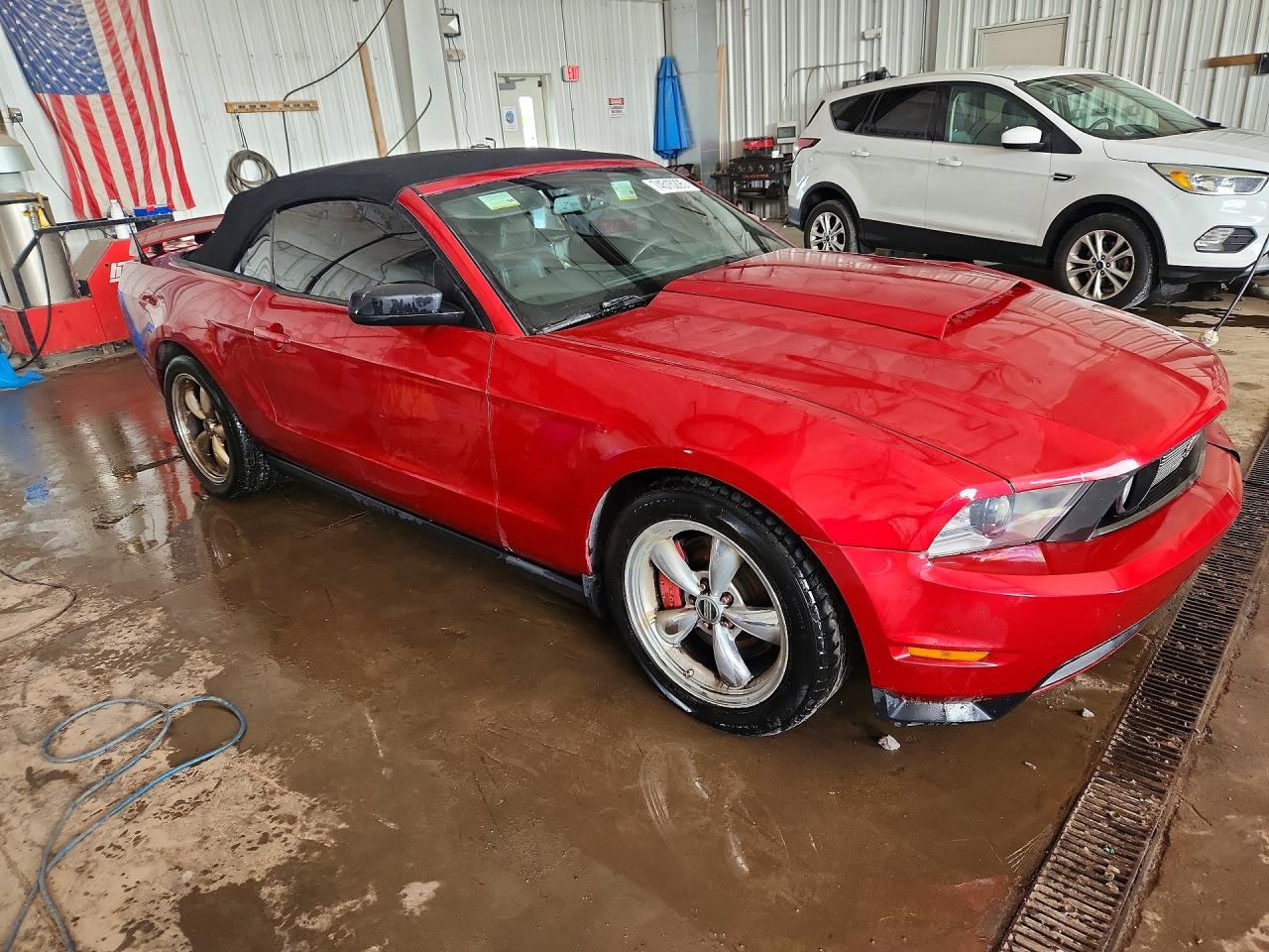 2011 Ford Mustang Gt Burgundy vin: 1ZVBP8FF3B5104564
