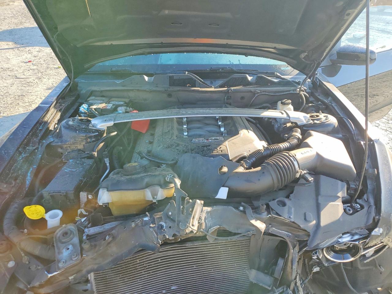 2013 Ford Mustang Gt Черный vin: 1ZVBP8FF4D5237496