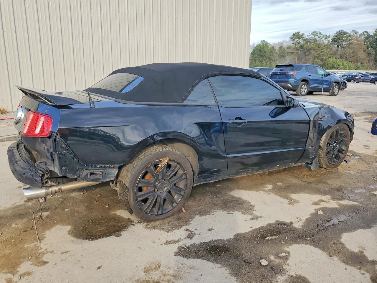 2011 Ford Mustang Gt Black vin: 1ZVBP8FF5B5133757