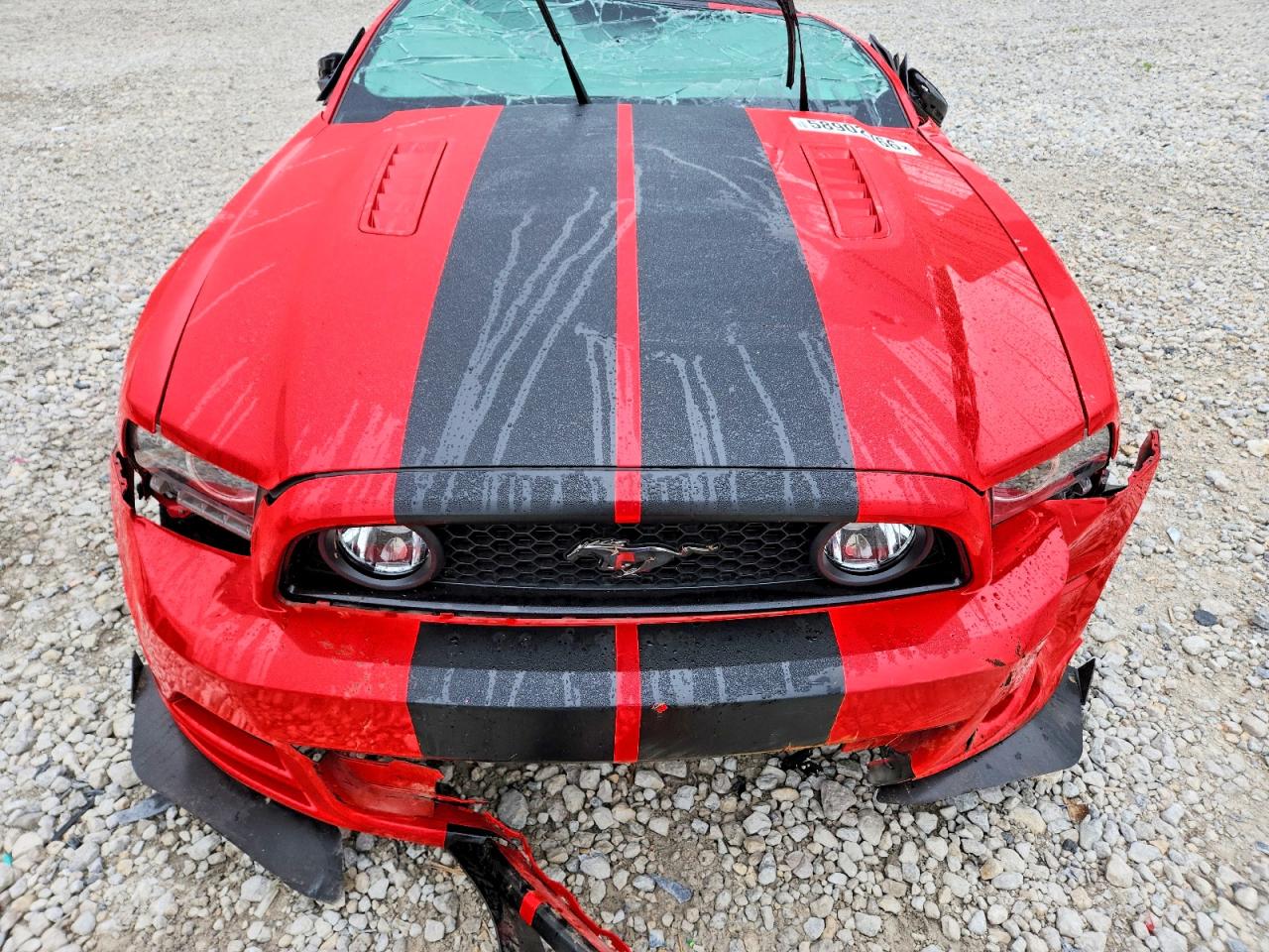 2014 Ford Mustang Gt Красный vin: 1ZVBP8FF5E5291066