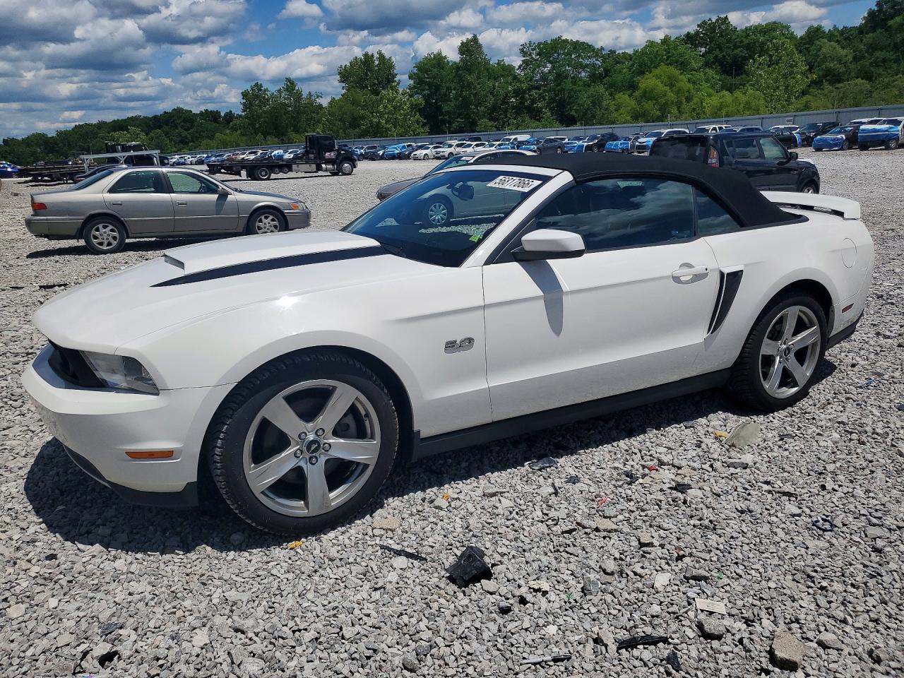 2012 Ford Mustang Gt White vin: 1ZVBP8FF8C5214236