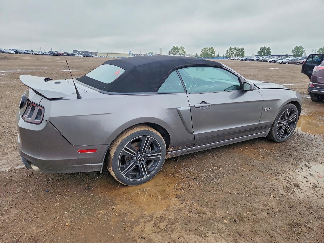 2014 Ford Mustang Gt Gray vin: 1ZVBP8FF8E5293121