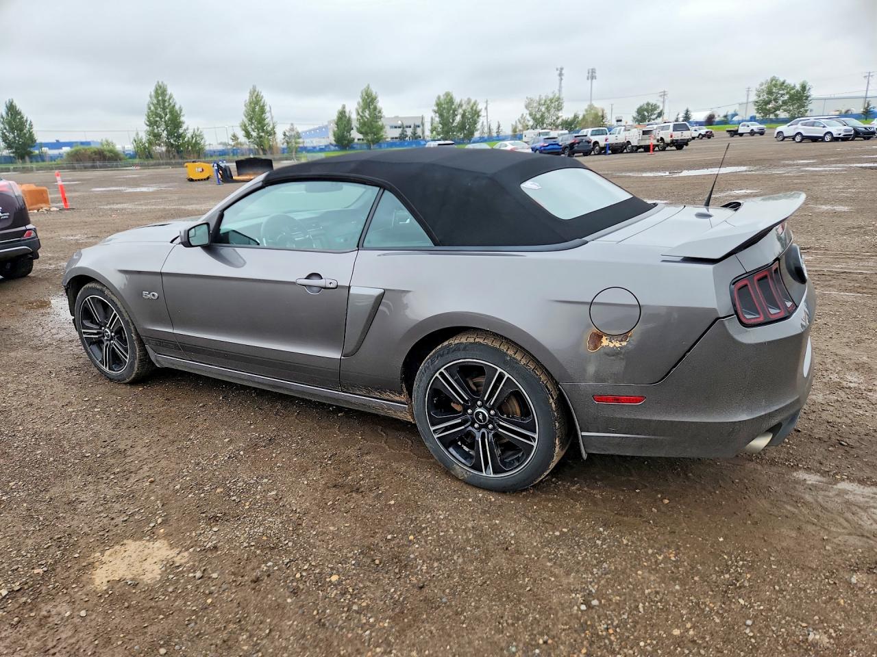 2014 Ford Mustang Gt Gray vin: 1ZVBP8FF8E5293121